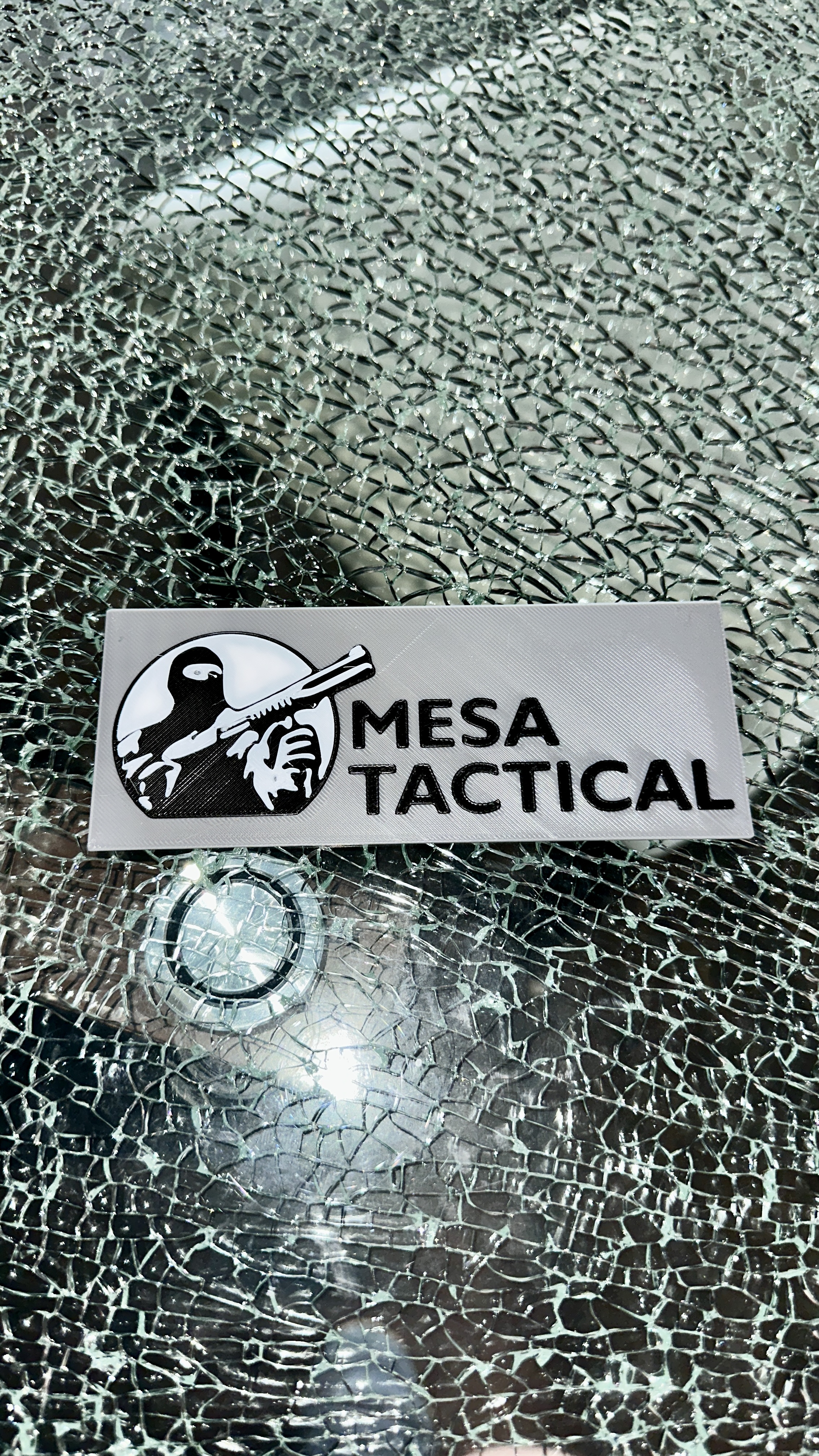 Mesa Tactical Logo