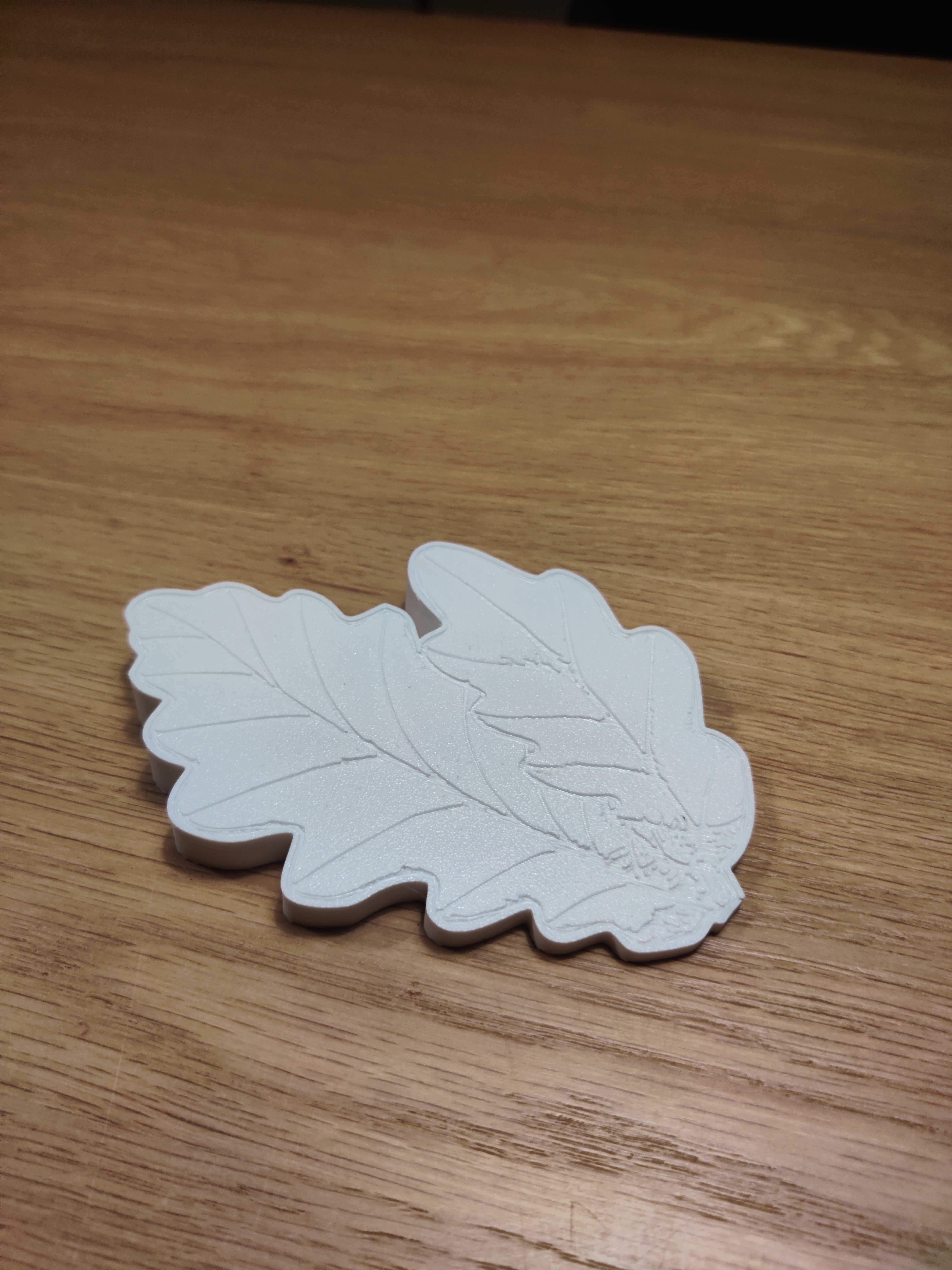 Leaves doorStopper