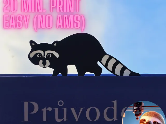 RACCOON - BOOKMARK