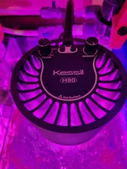 Kessil H80 Shade