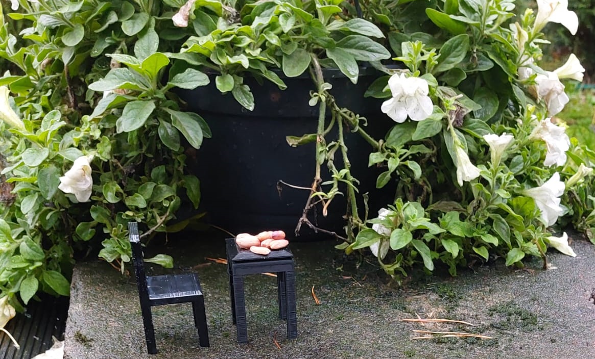Squirrel restaurant table for one