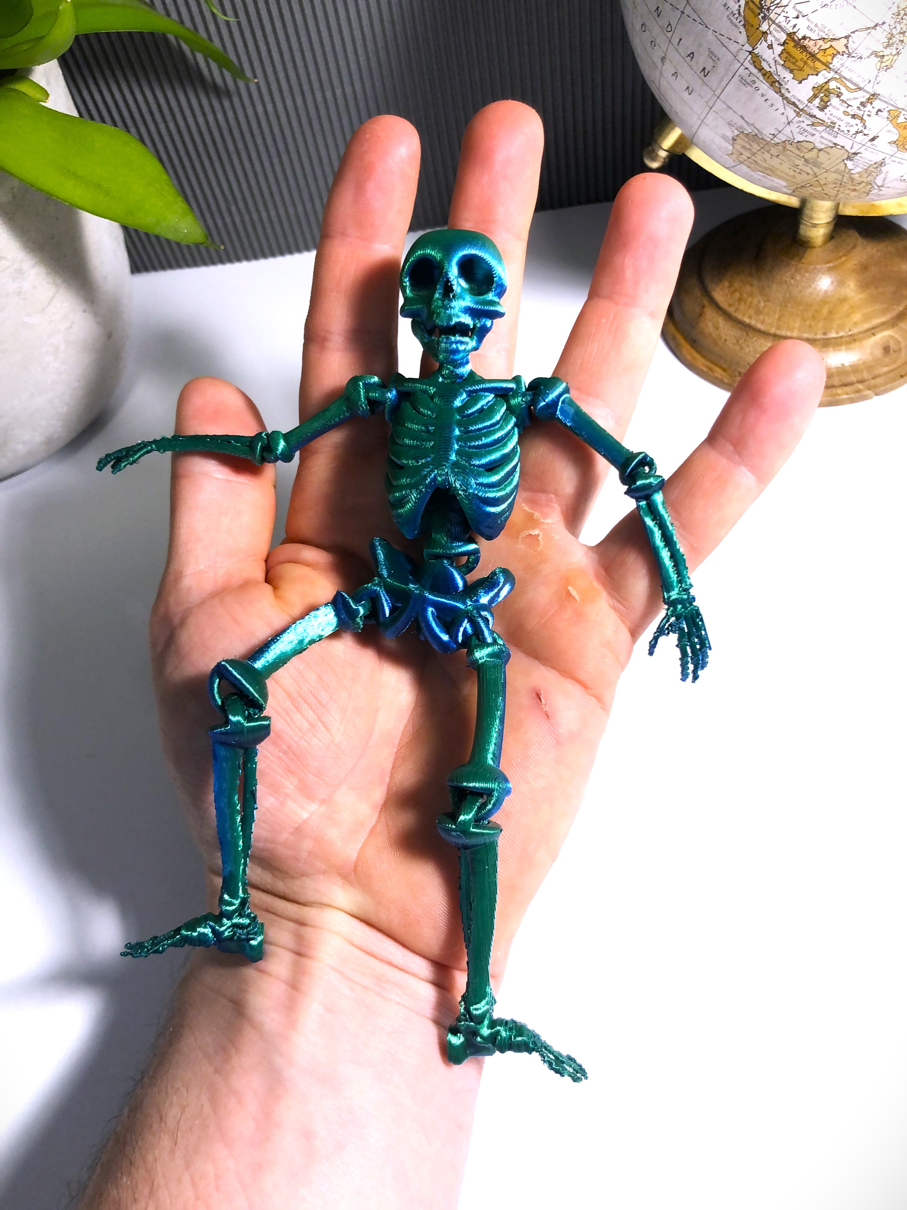 Flexible Skeleton - fully agriculated