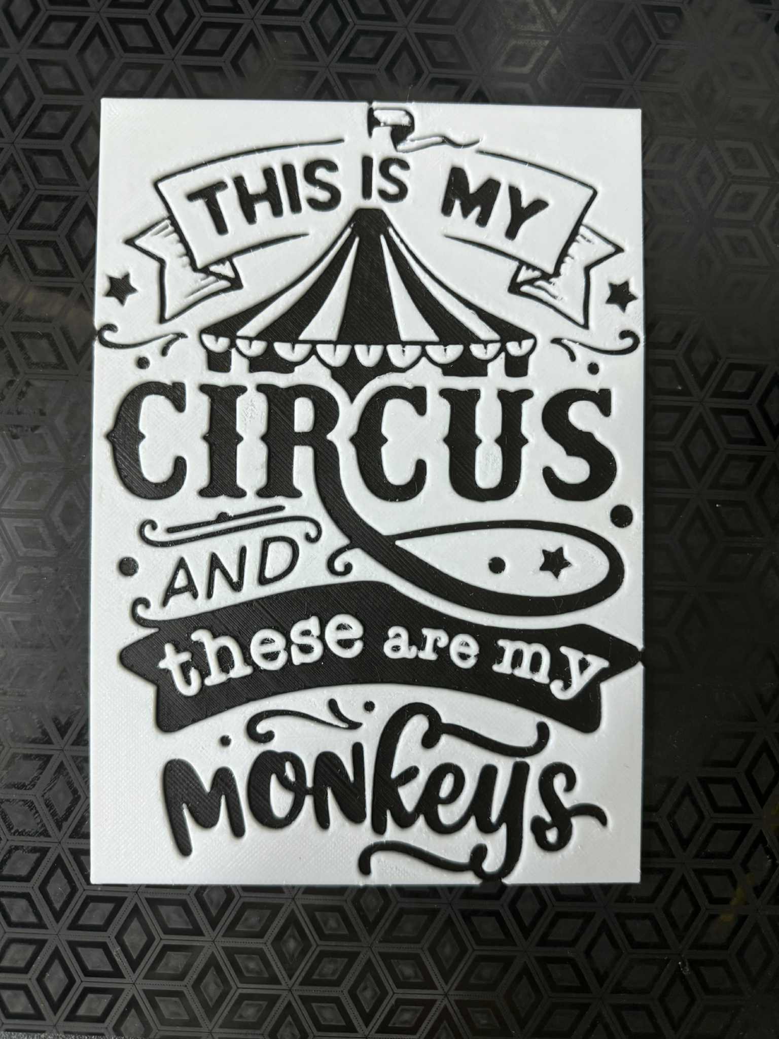 My Circus My Monkeys