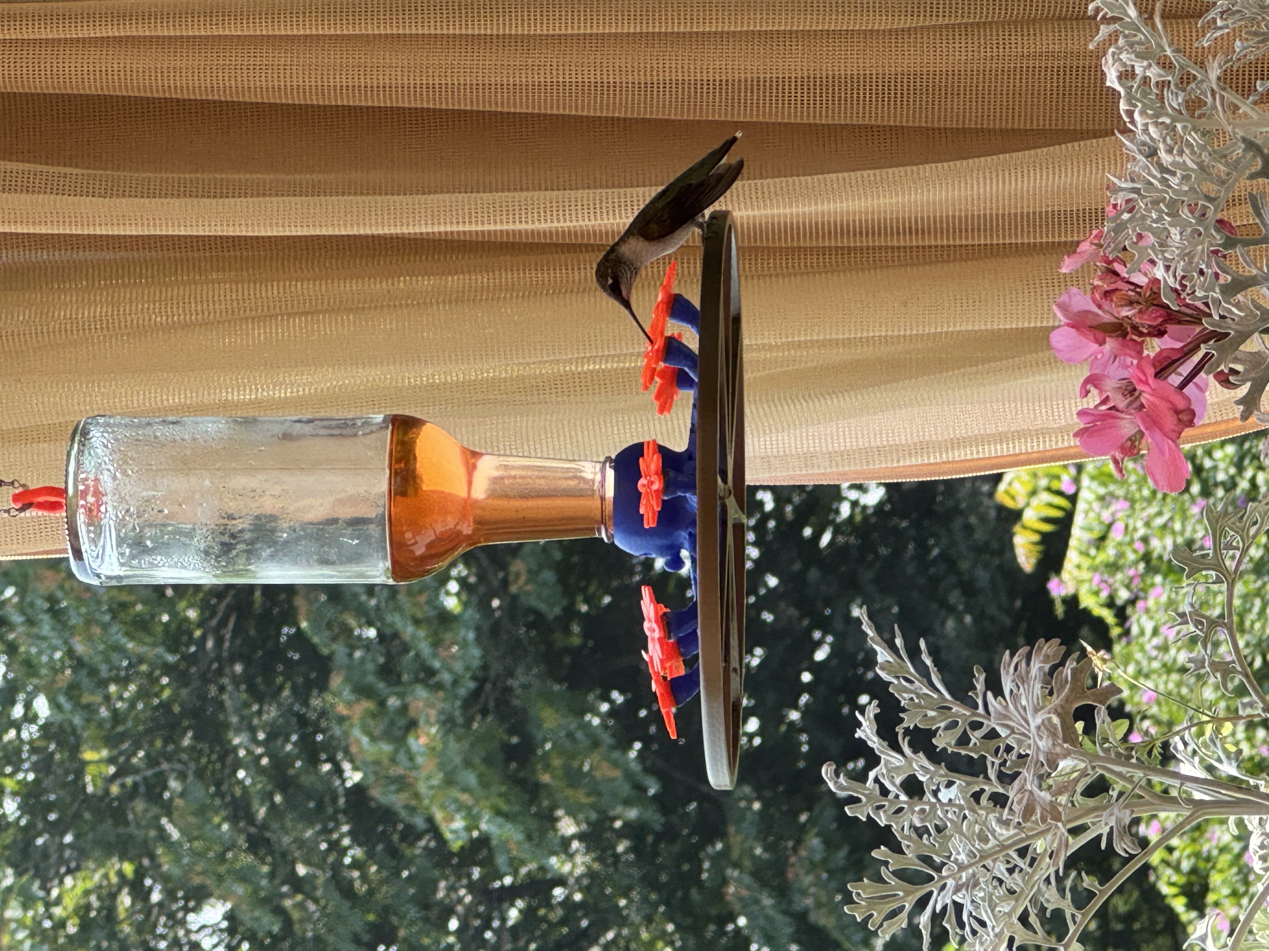 Octopus Hummingbird Feeder — miniatura 12