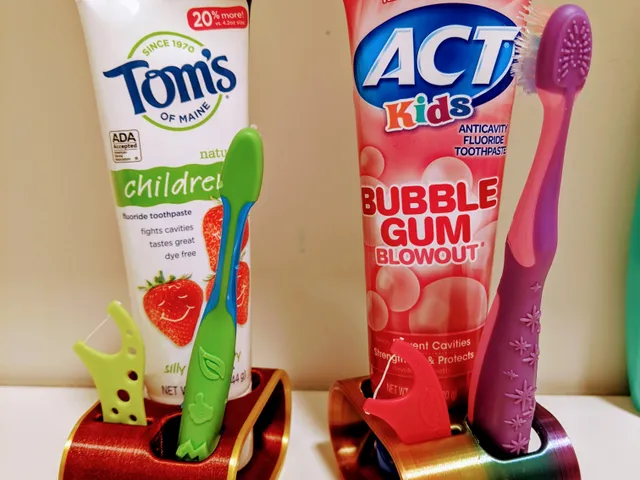 Simple Toothbrush, Toothpaste, and Pick Holder for Kids and Adults