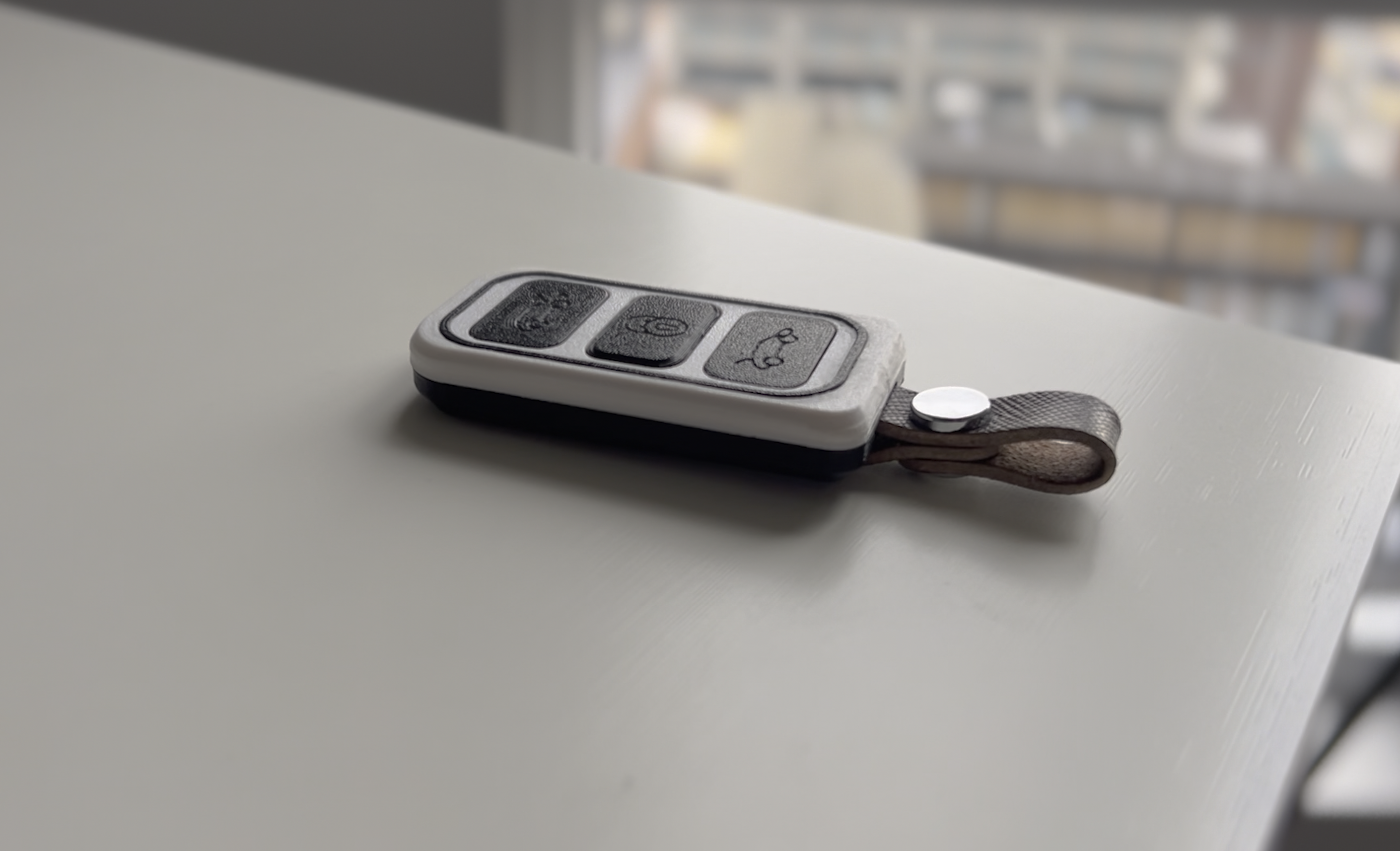 DIY Tesla Model 3 Key Fob