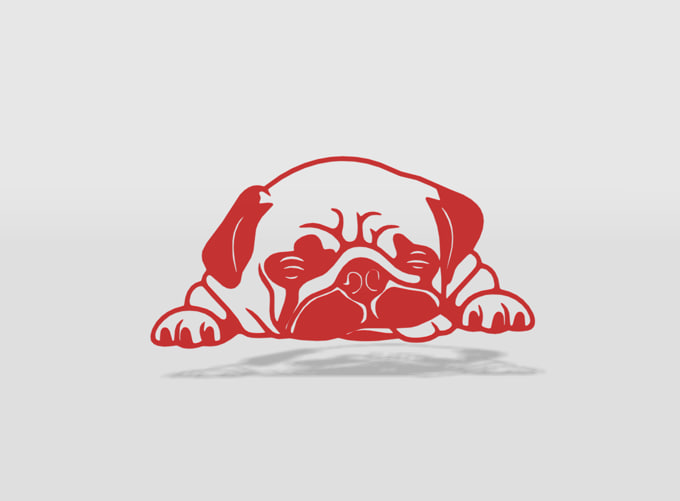 Cute pug