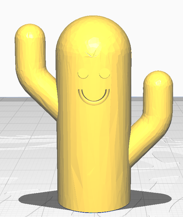 Smiling Cactus 3