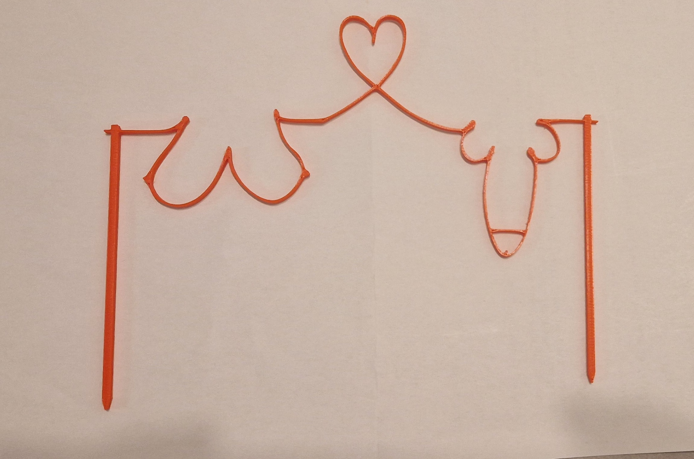 Boobs and Dick cake topper