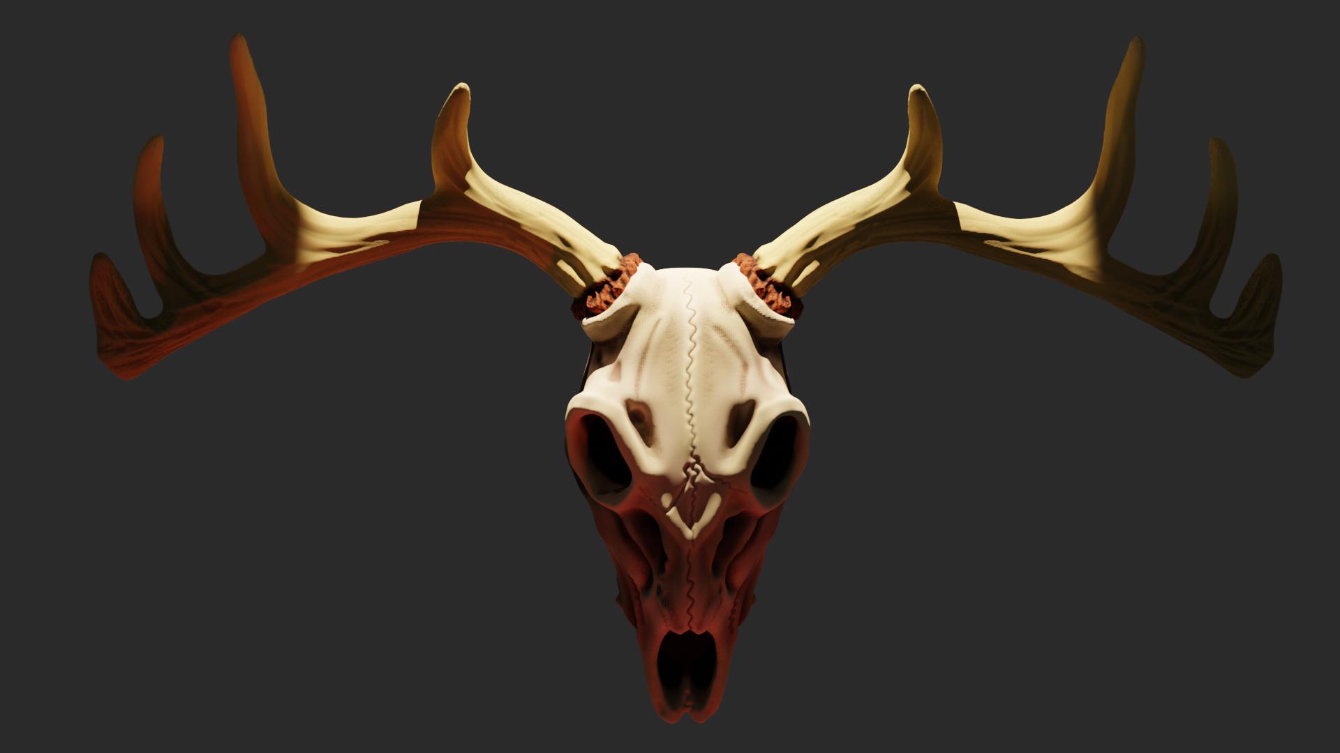 Deer Skull