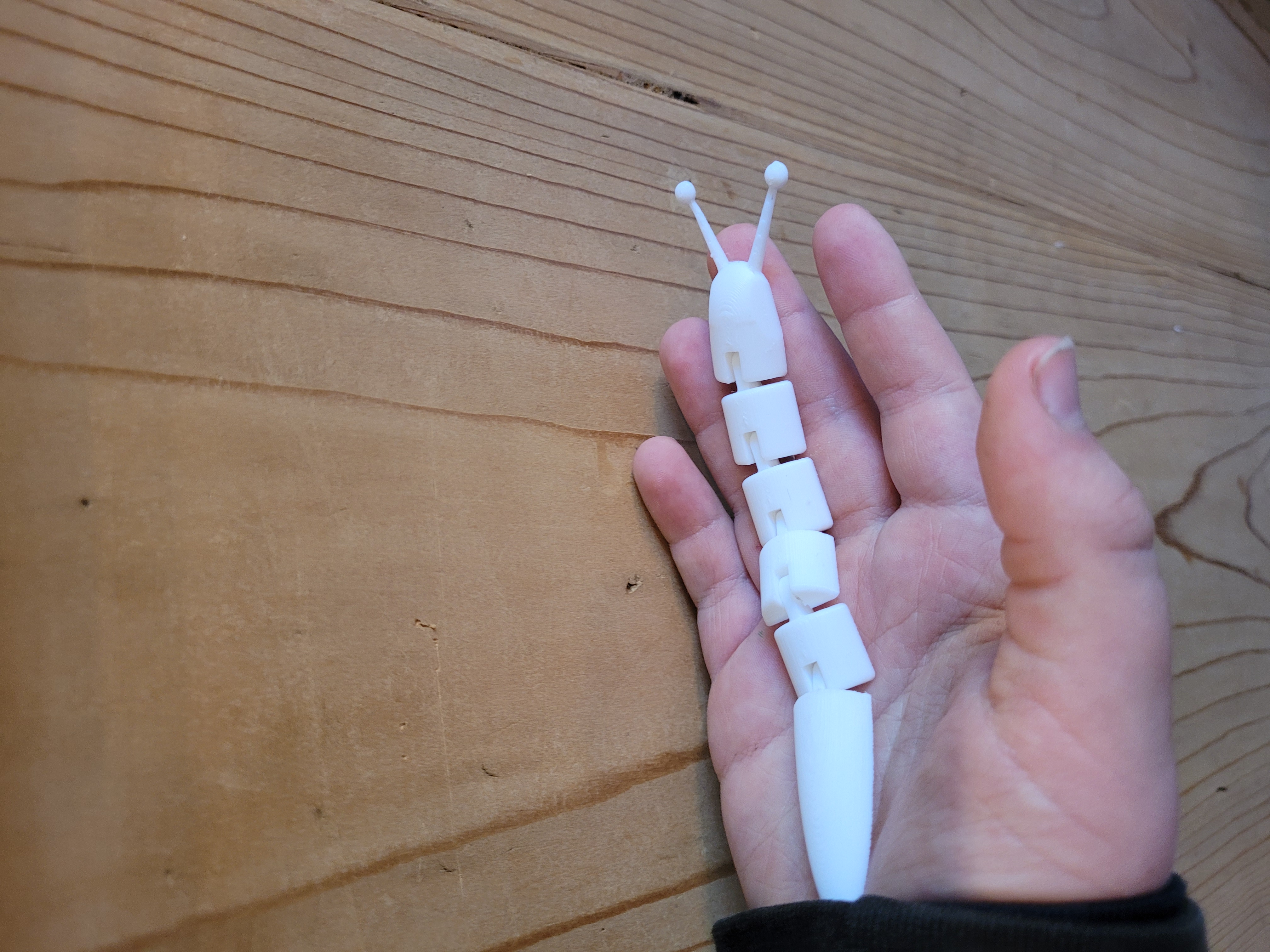articulated slug