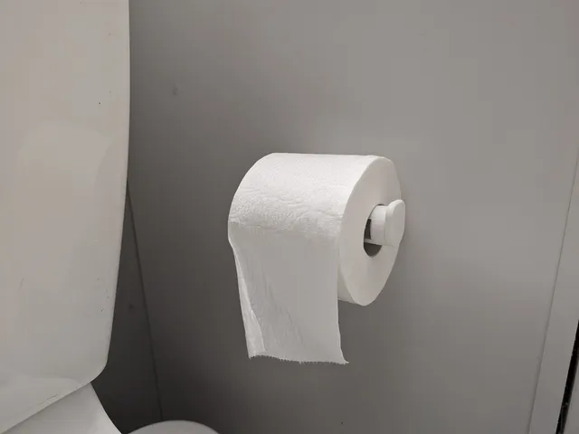 Toilet Paper Holder