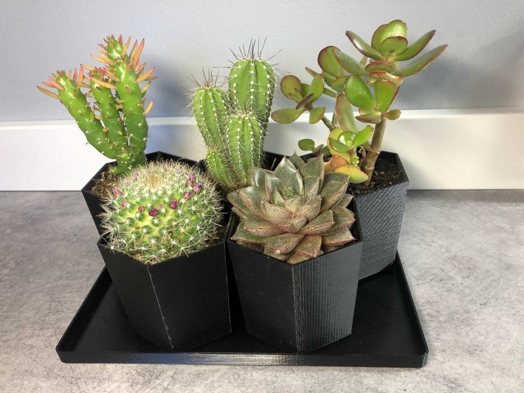 Miniatura 3 do modelo 3D Mini-cactus pot