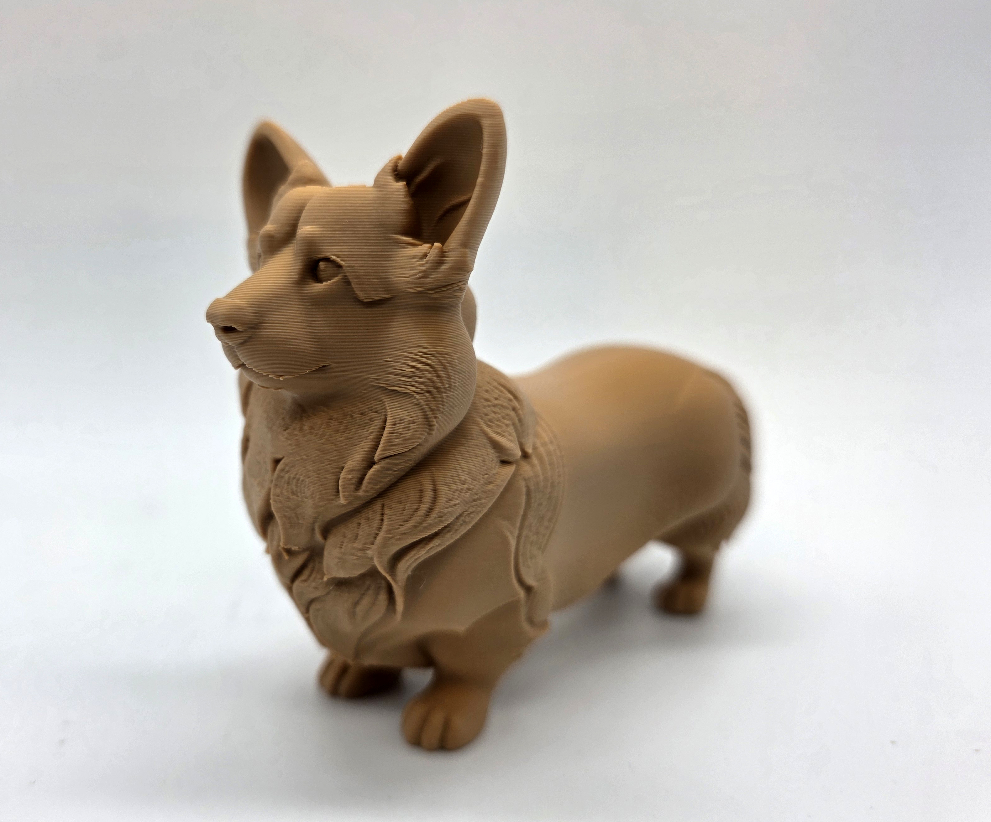 Standing Corgi