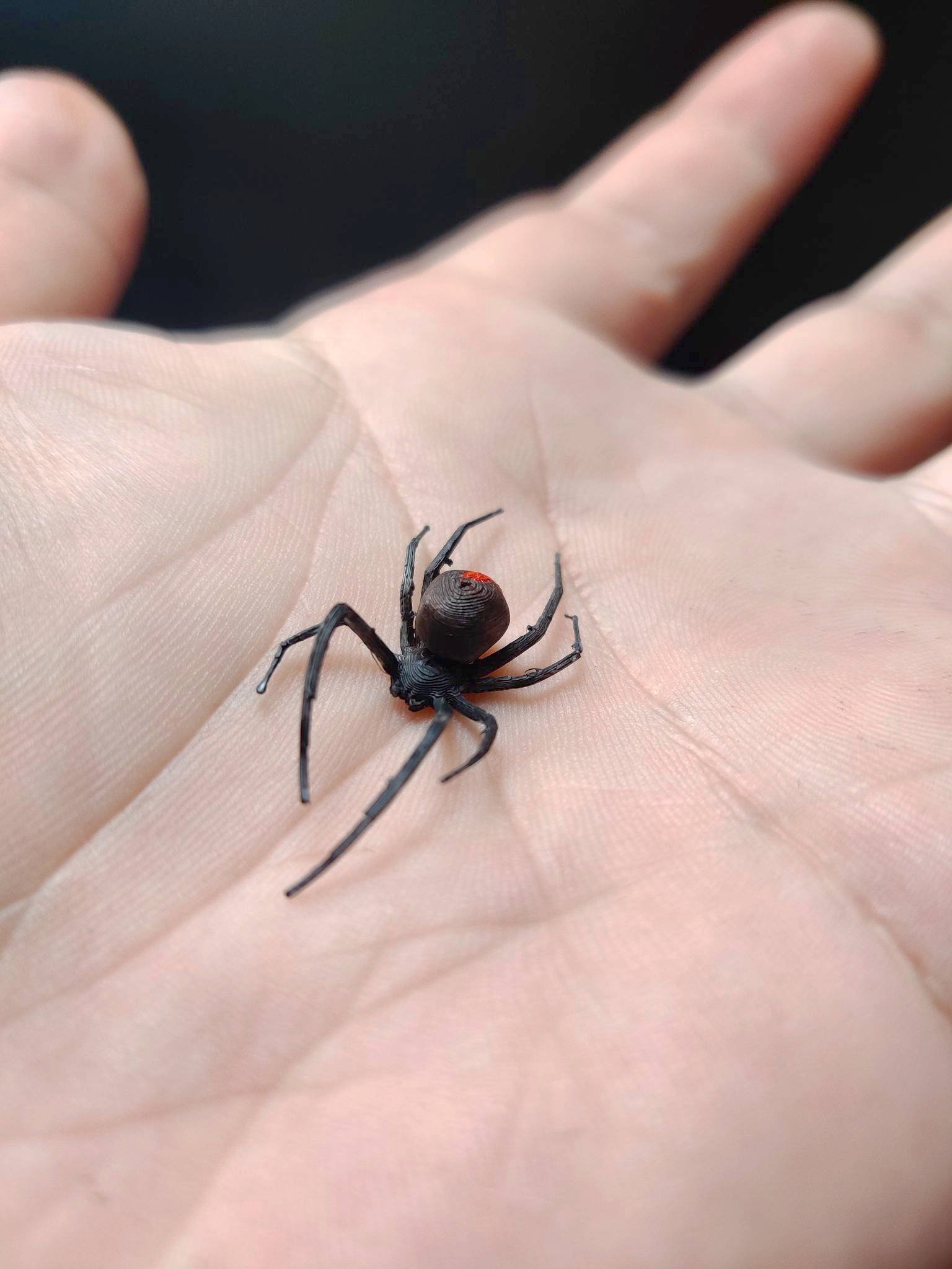 Miniatura 2 do modelo 3D Red Back Spider