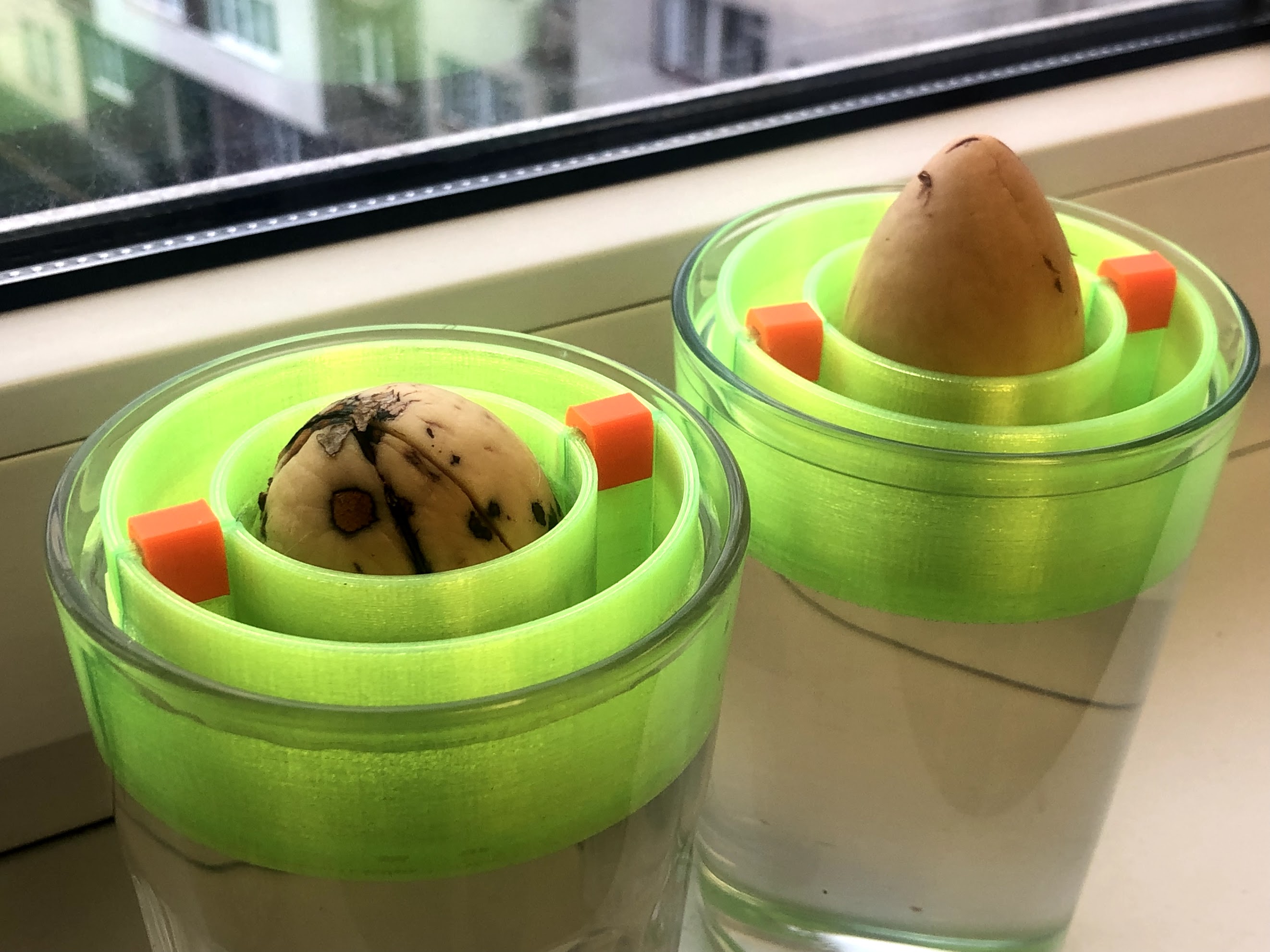 Avocado seed floater