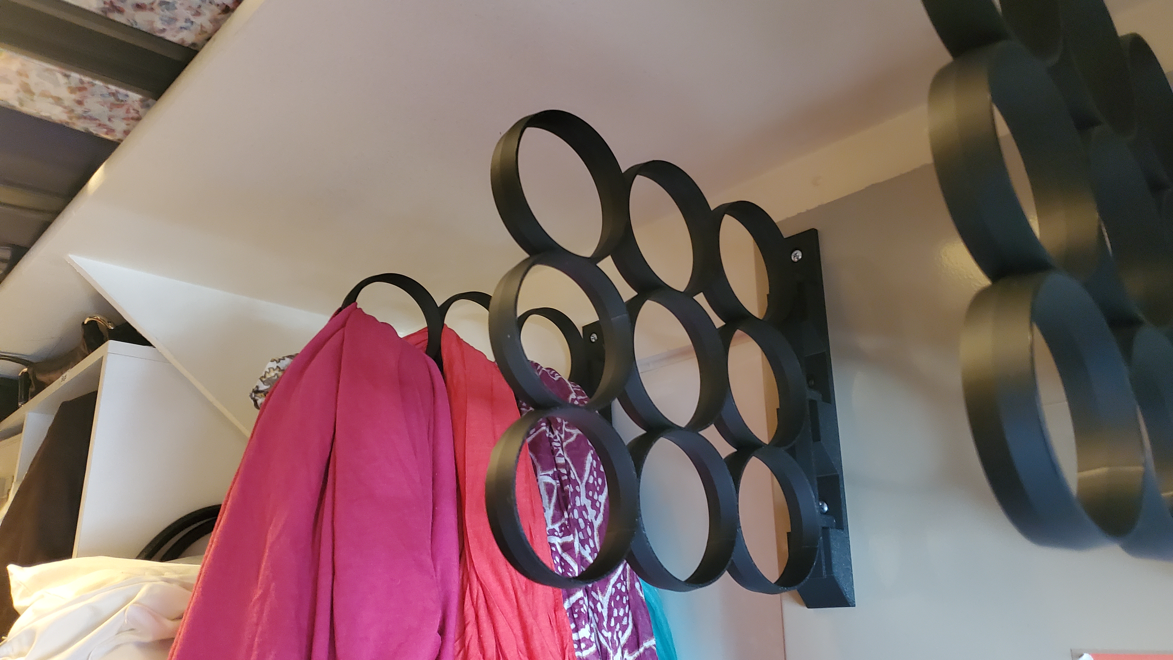 Removable Closet Rack for Scarves, Belts, Ties, etc.