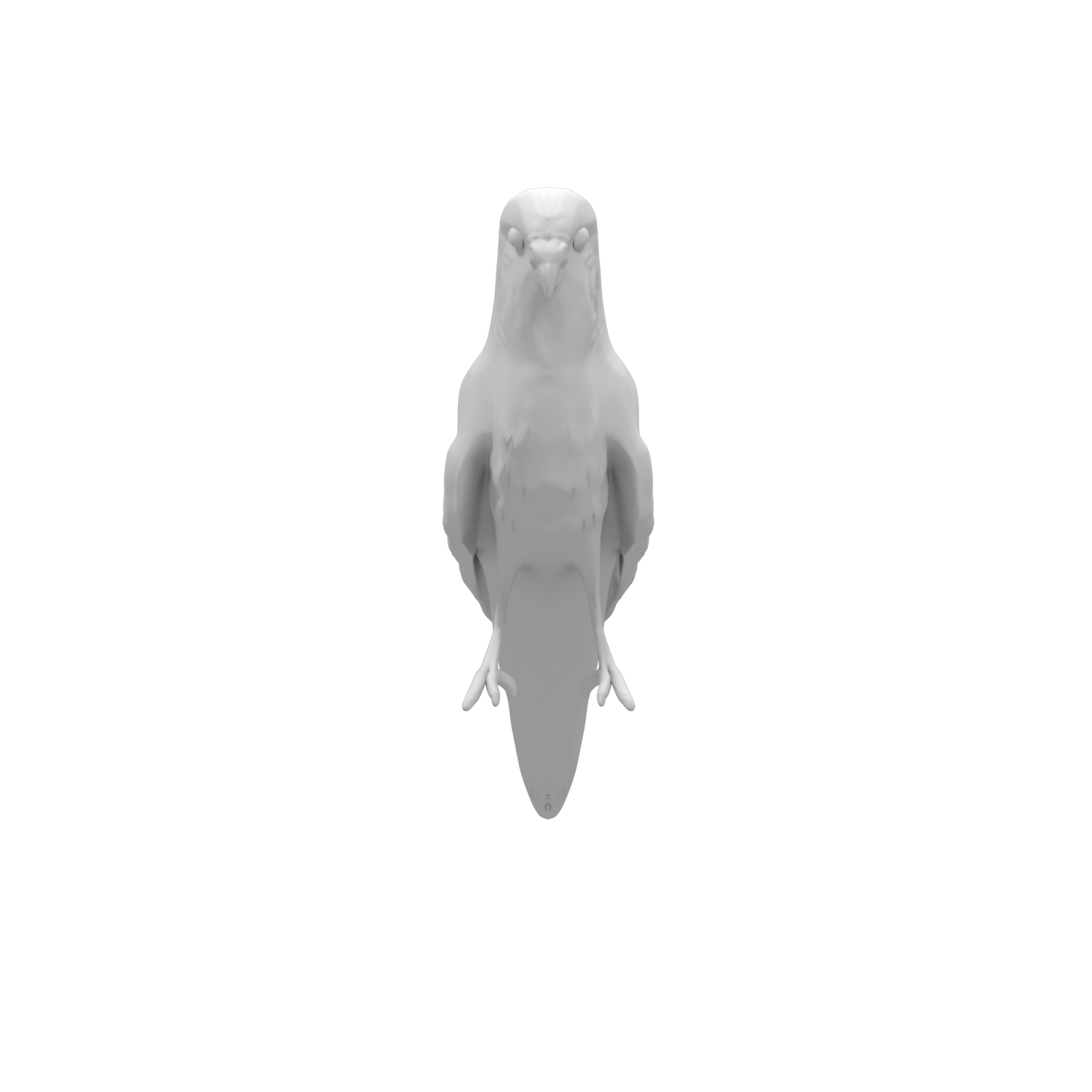 Miniatura 15 do modelo 3D Parakeet