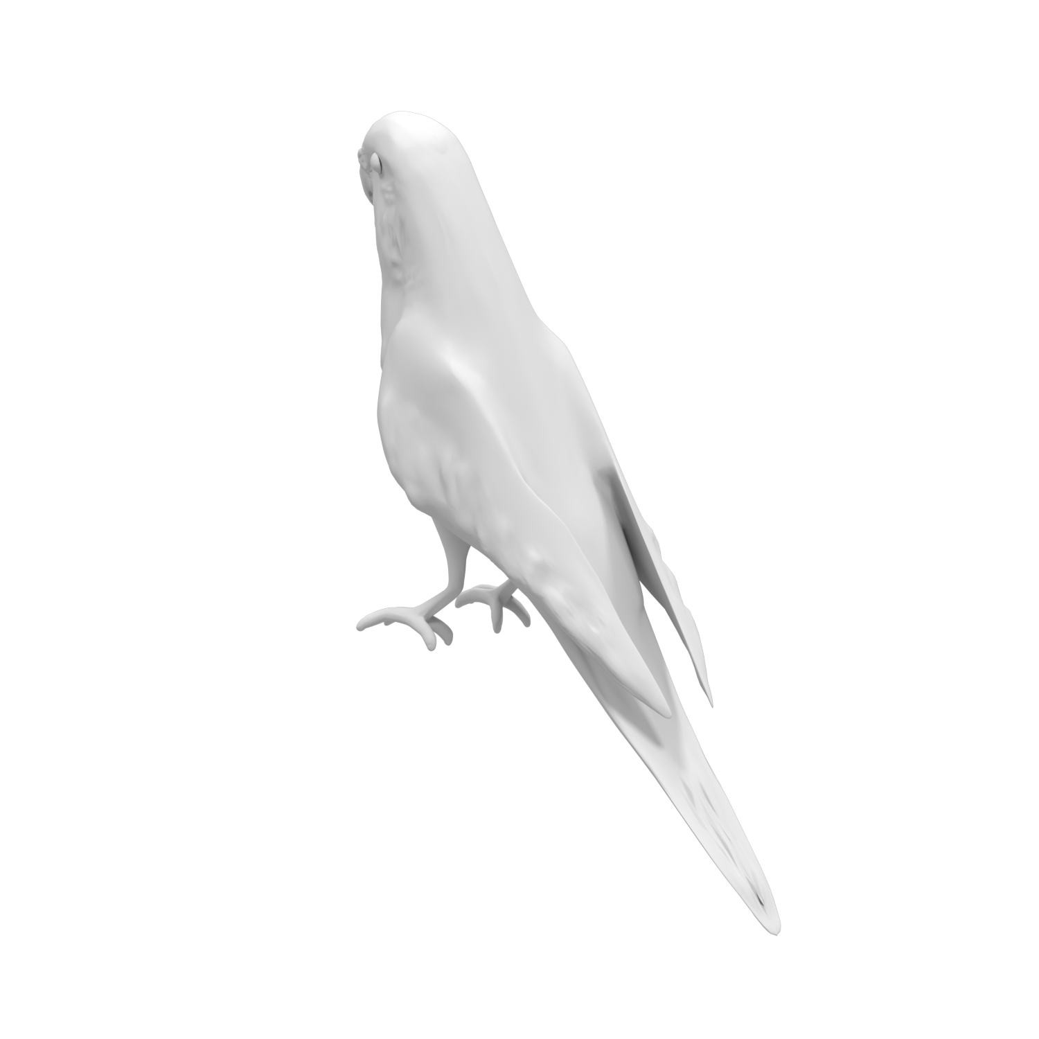 Miniatura 13 do modelo 3D Parakeet