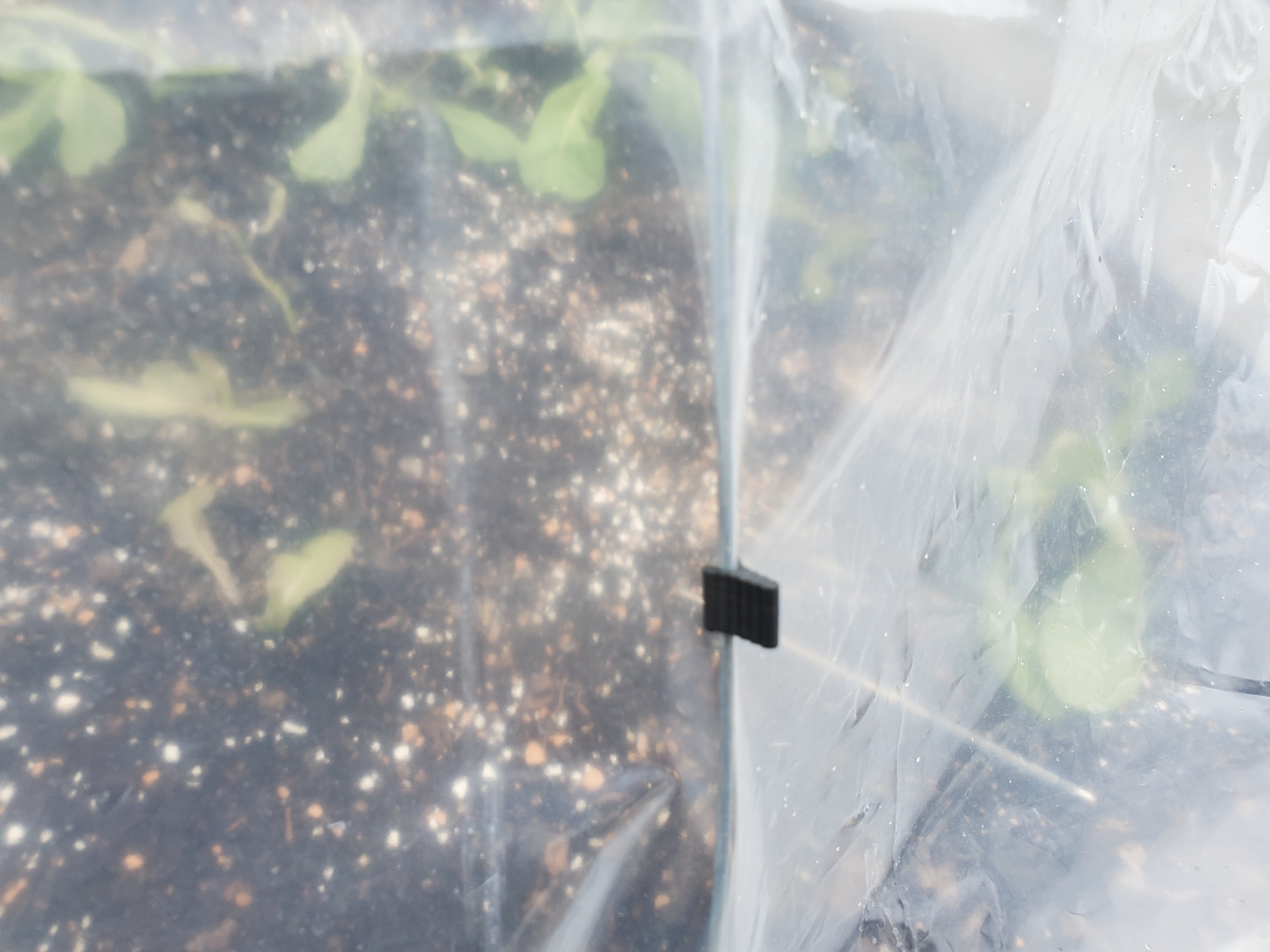 Garden row cover fabric clip