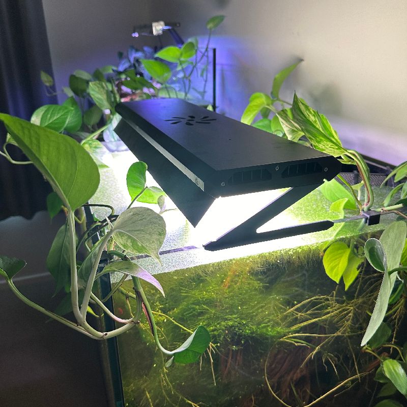 Aquarium Light Shade - Week Aqua P series by Ryan | Download free