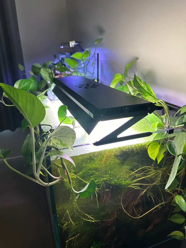 WEEK AQUA P600 Pro 水草用LED照明 Amazon.com: Week Aqua P 系列水族箱植物生長燈水生照明全光譜LED面板