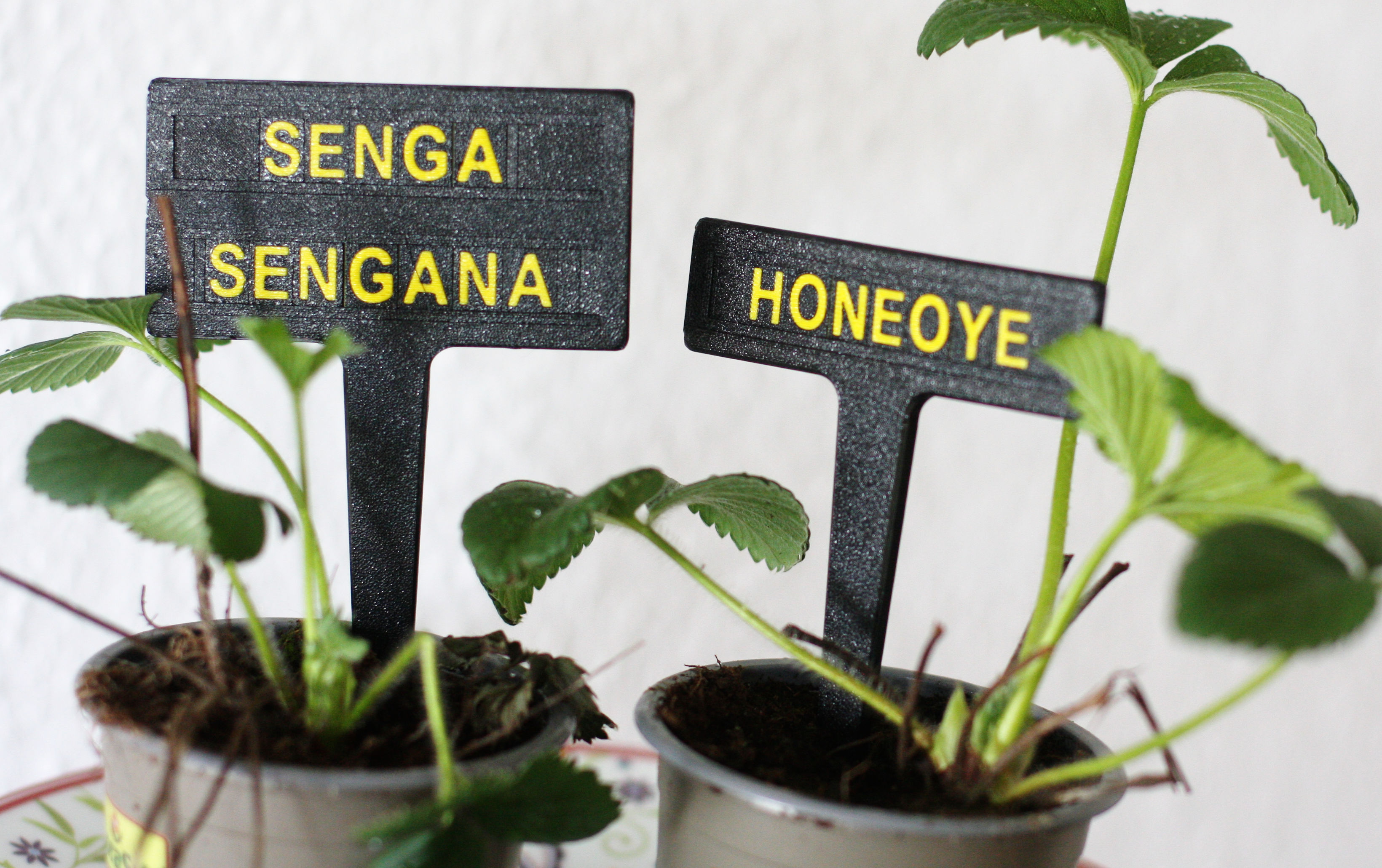 Modular Tagging System For Plants, Boxes, Drawers, by mageb