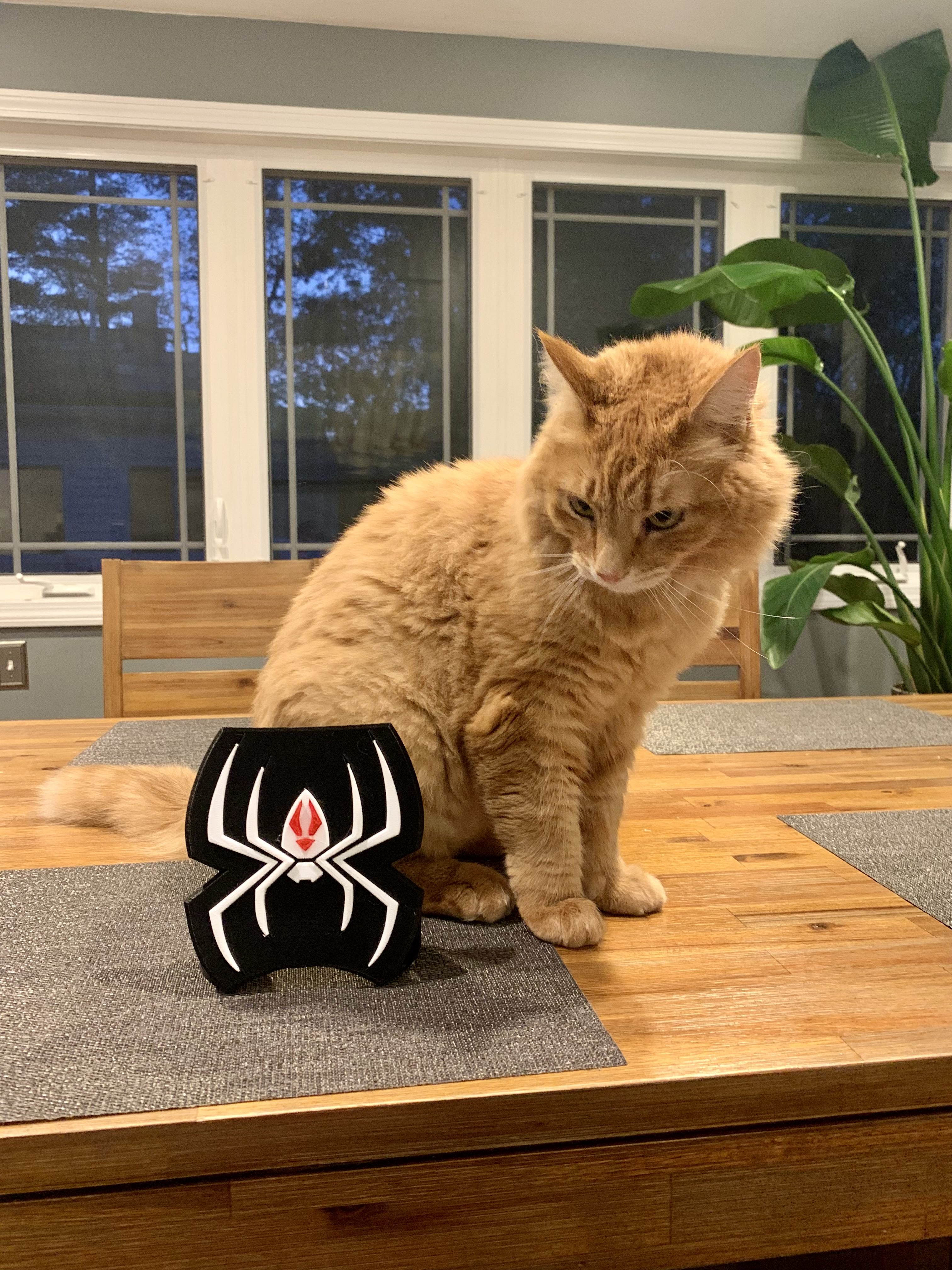 Spiderman Logo