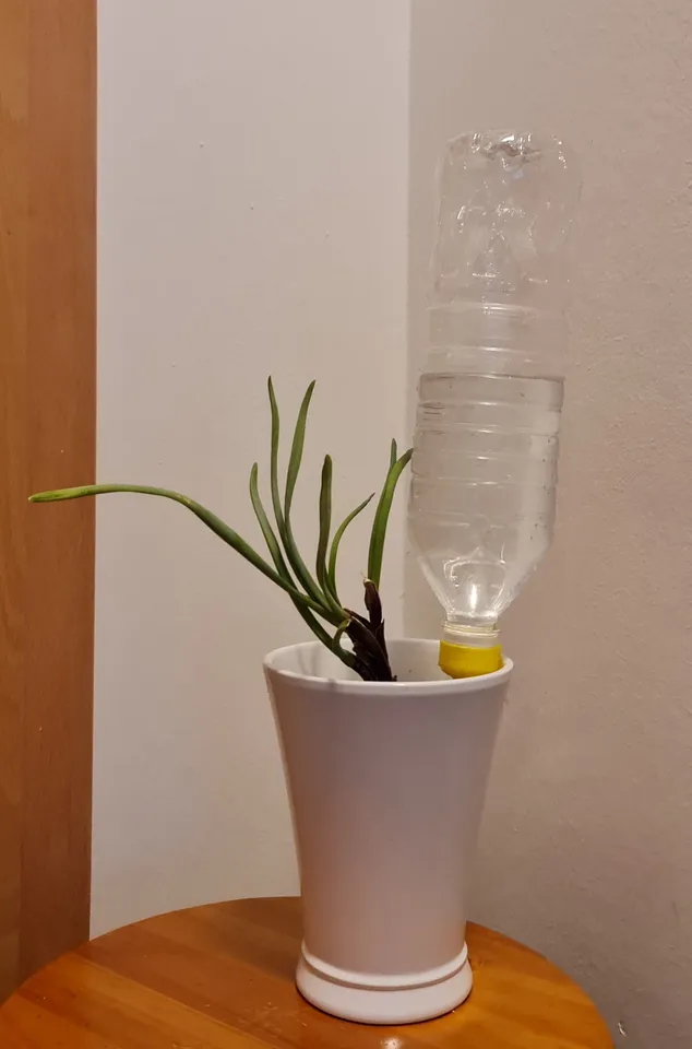 Long lasting plant watering system by priyan | Download free STL model |  Printables.com
