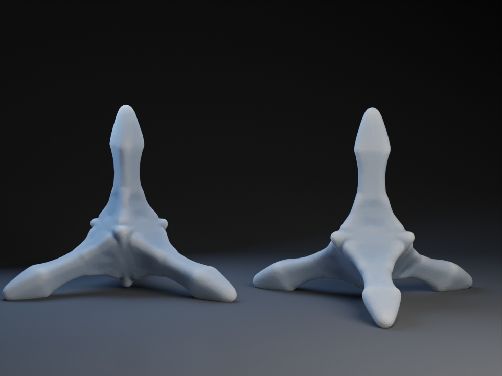 Stainers / Painters Caltrop — miniatura 3