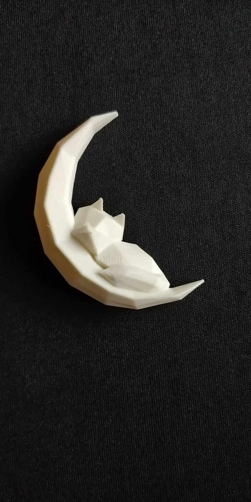 Fox sleeping on Moon