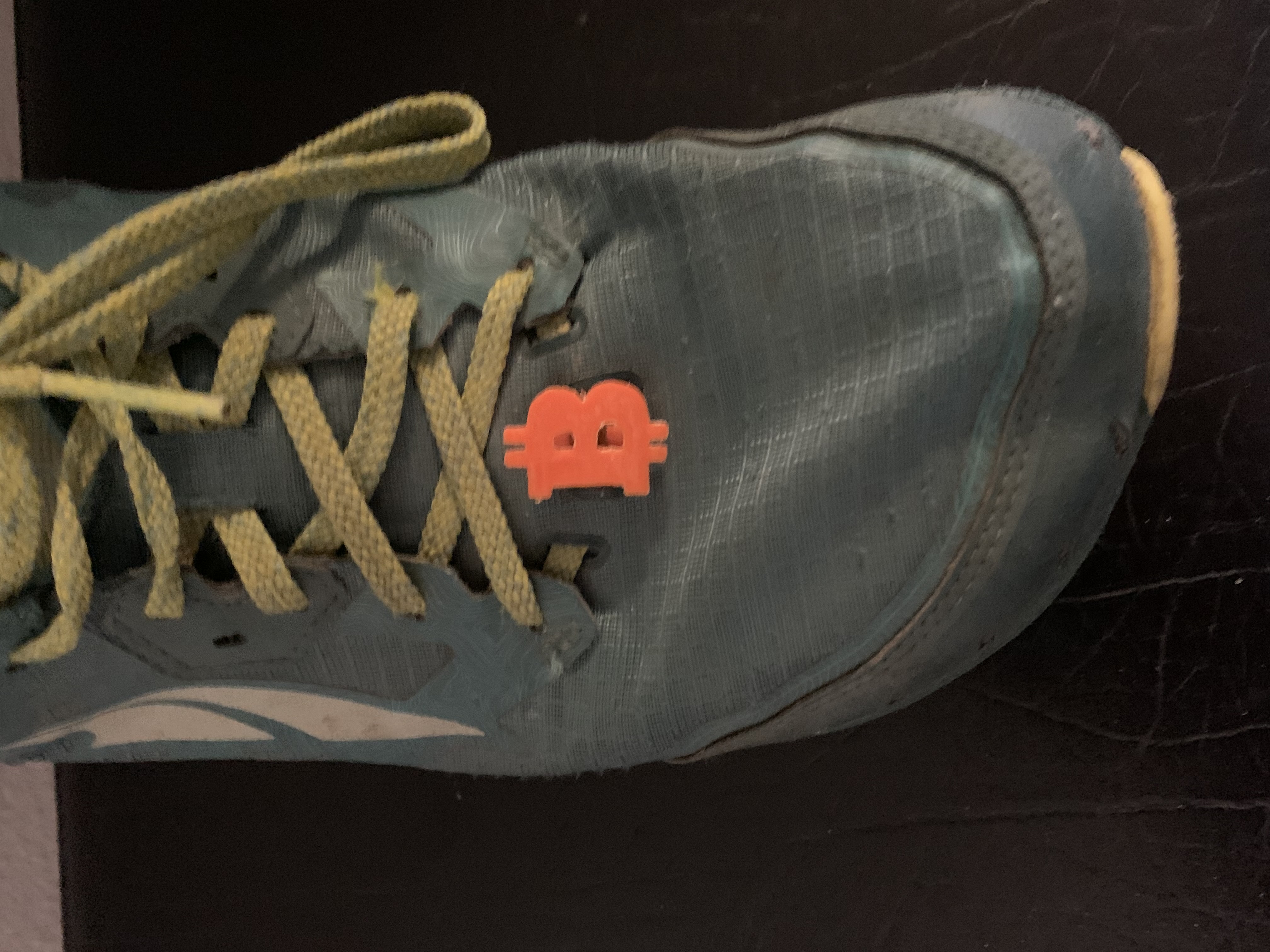 Bitcoin Shoe Tag
