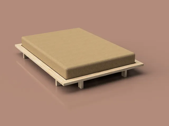 Futon Bed