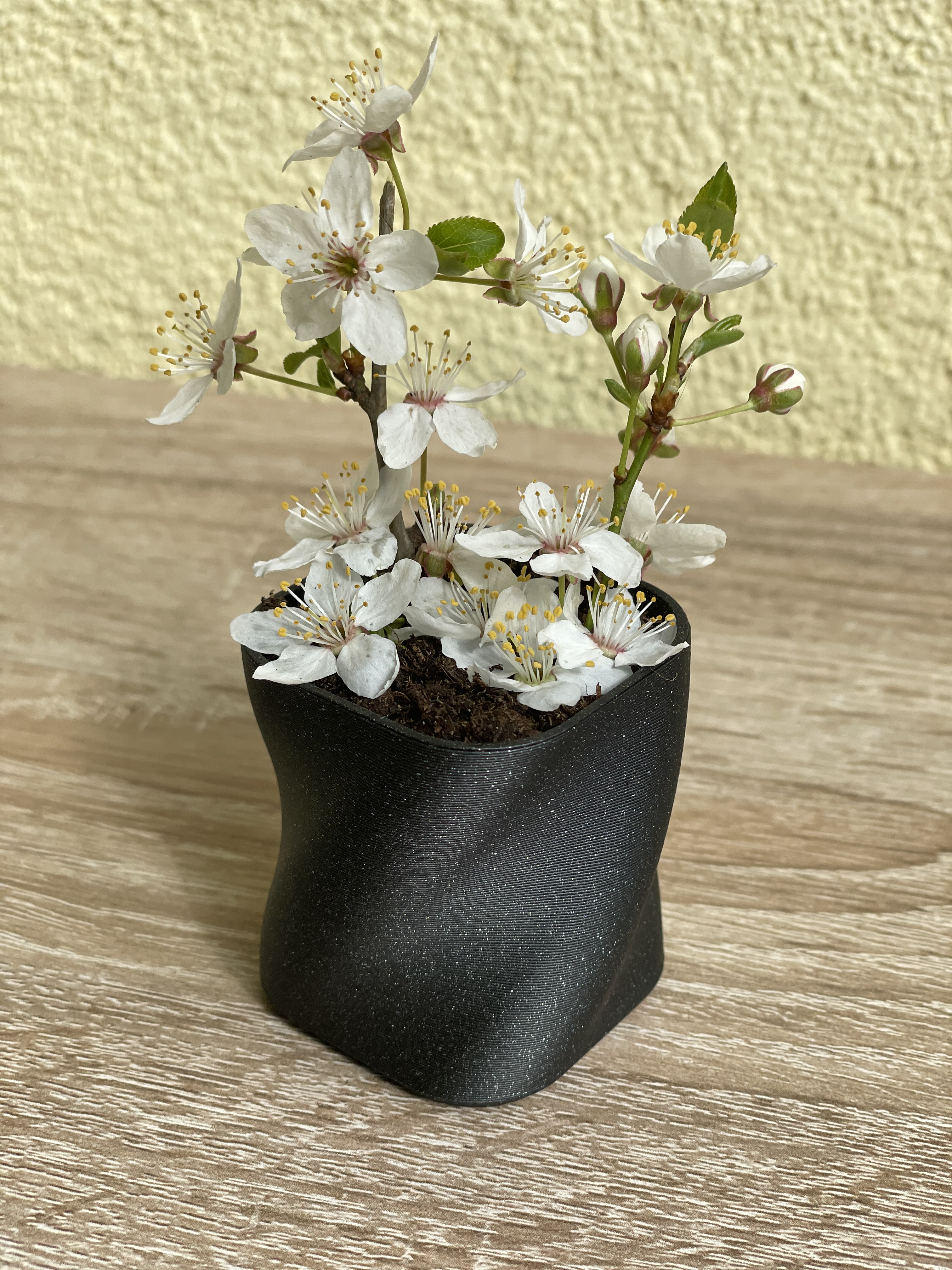 flowerpot —> PARAMETRIC