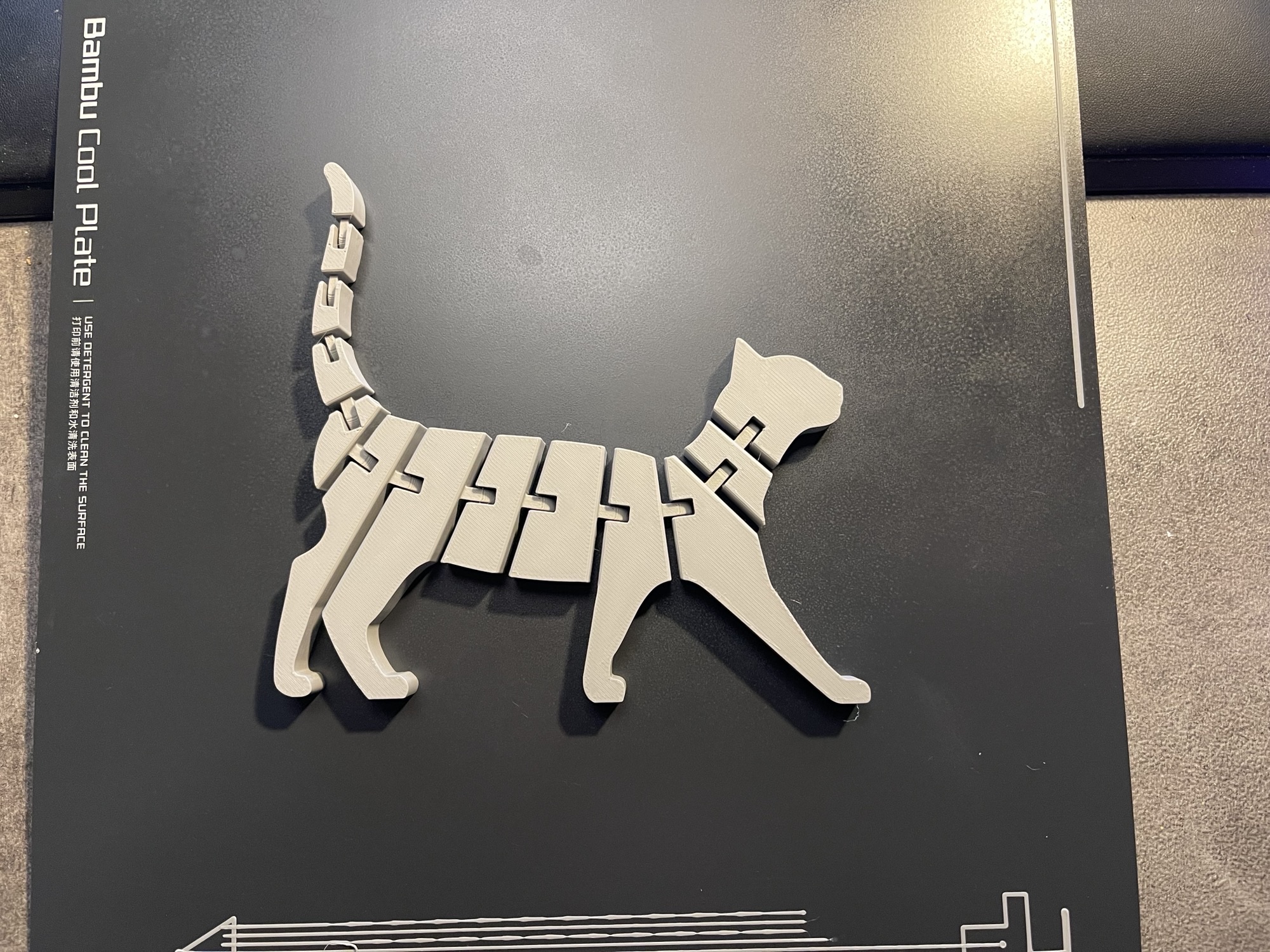 "Flexi" Cat