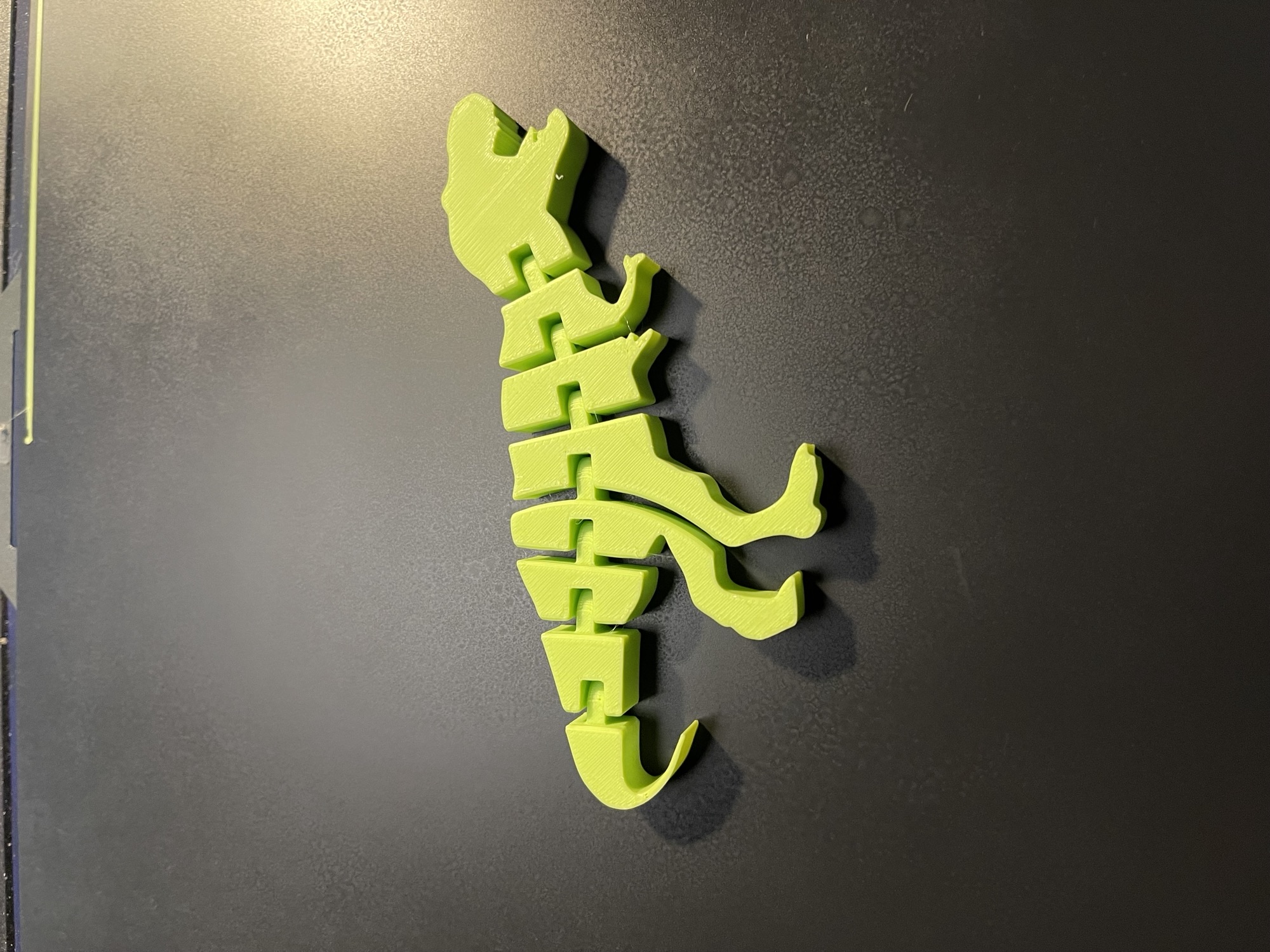 "Flexi" Dino