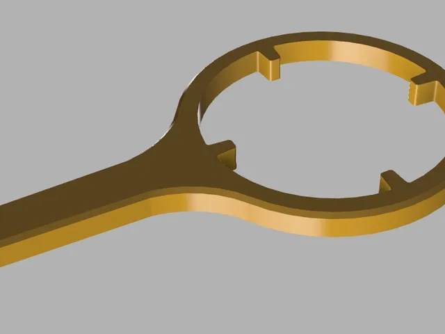 Water filter wrench 10"