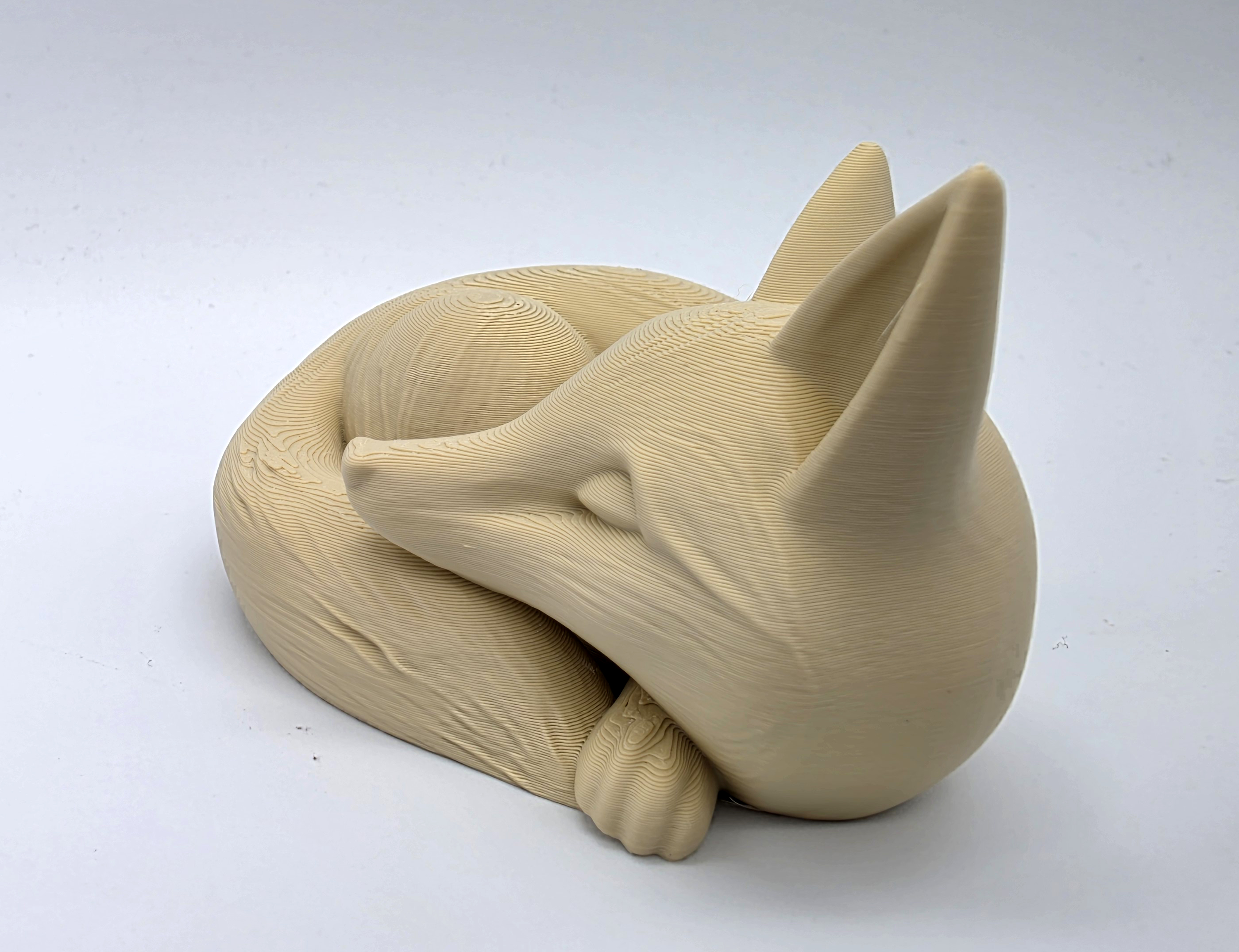 Miniatura 4 do modelo 3D Sleeping Fox 1
