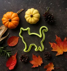 Cat Cookie Cutter