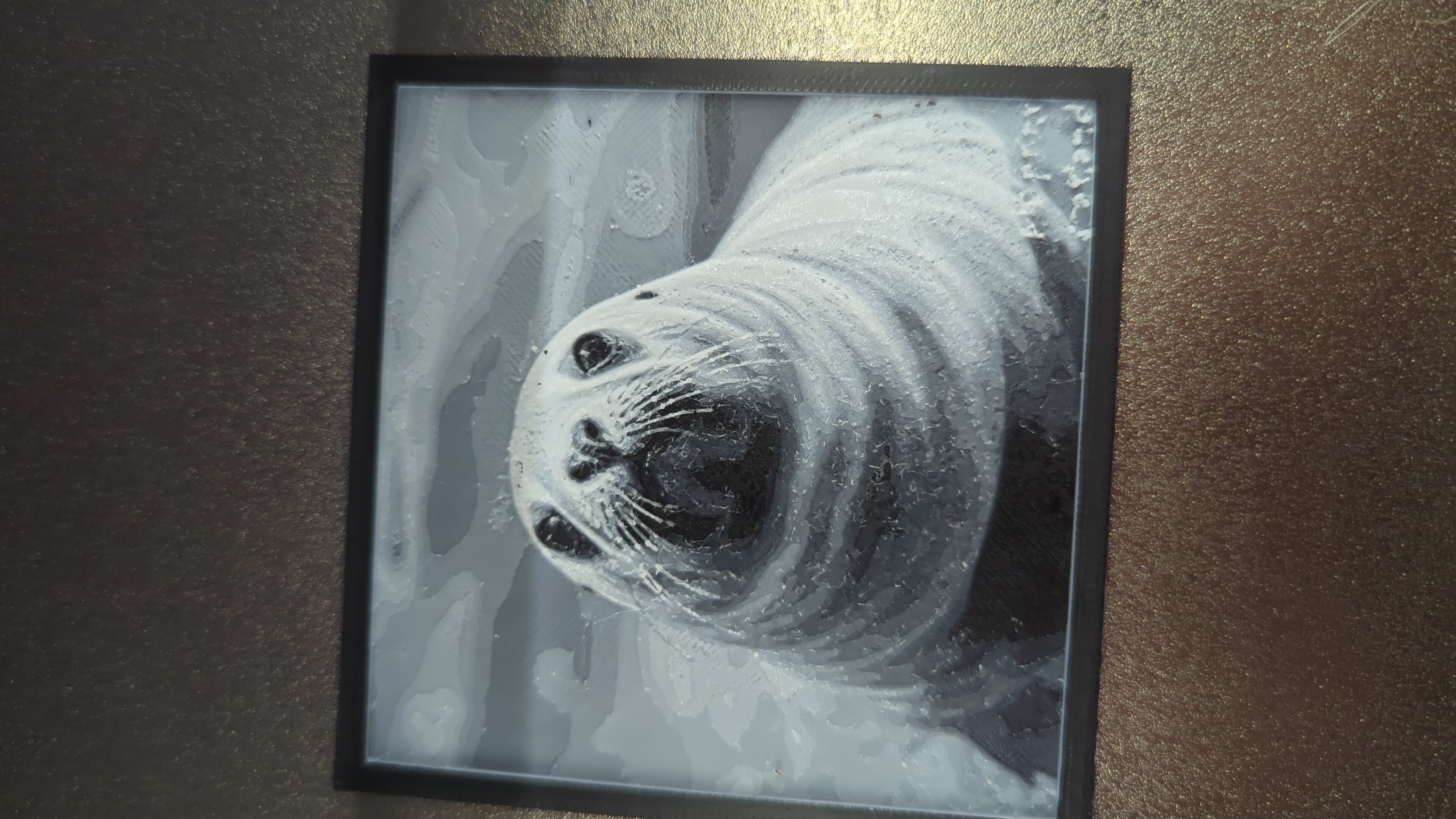seal