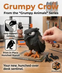 "Grumpy Crow" From "grumpy animals"