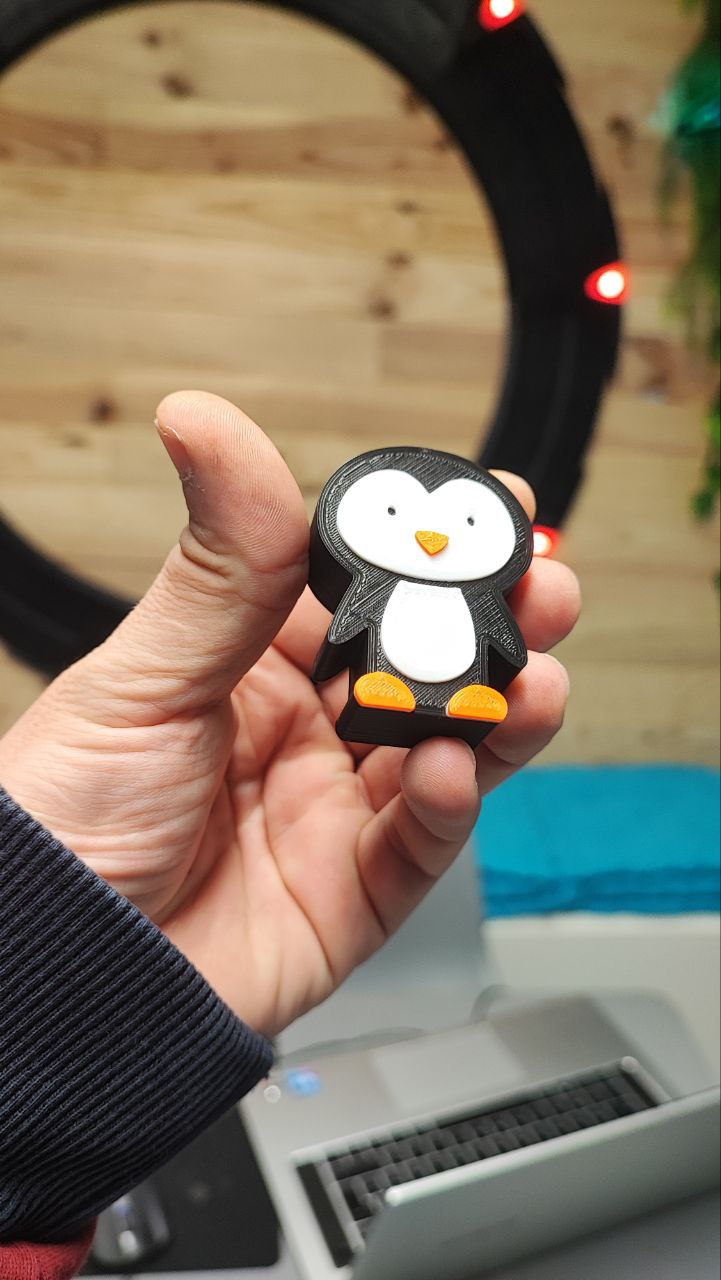 Miniatura 3 do modelo 3D PINGUIN WALL
