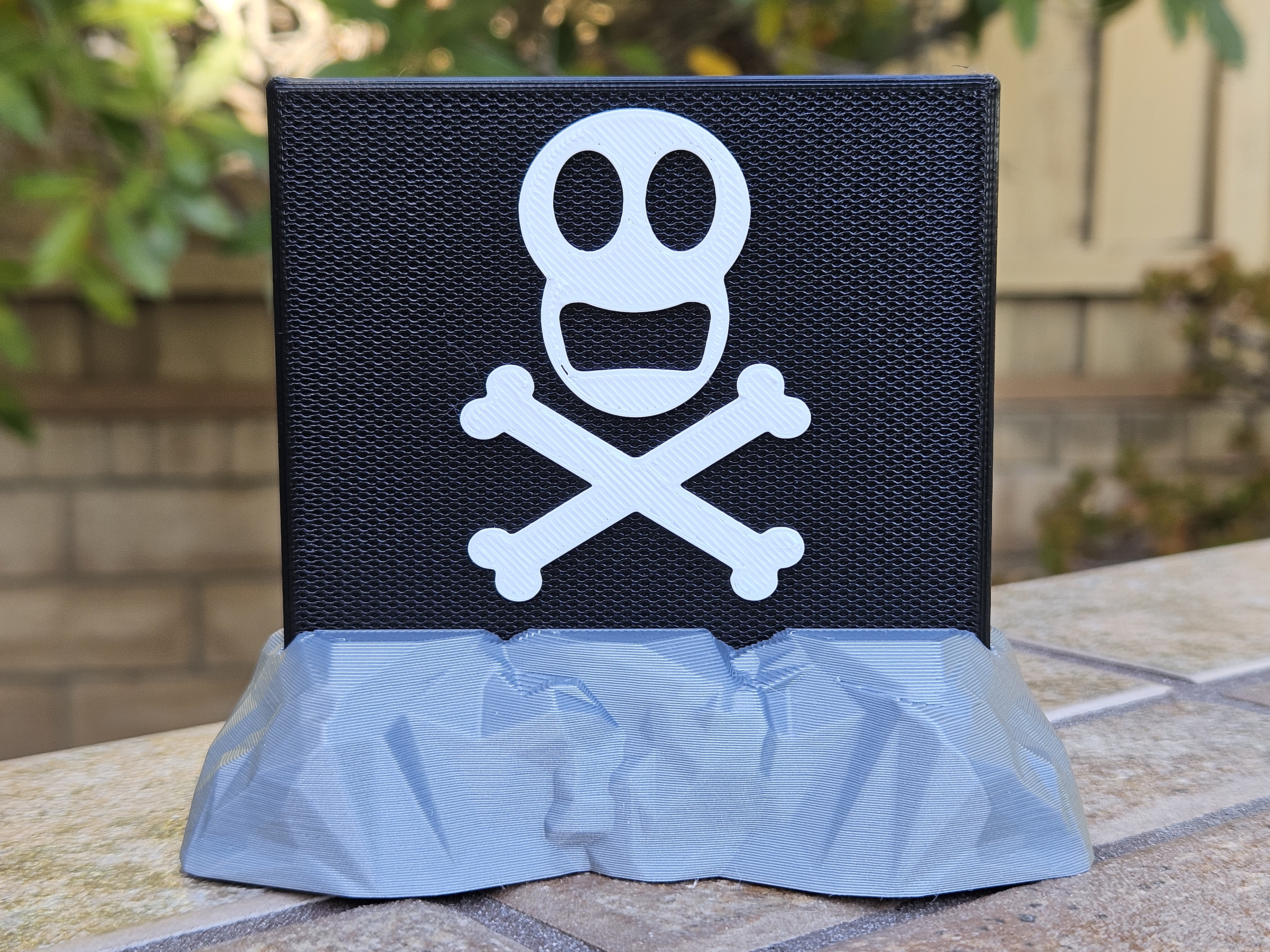 Pirate Flag