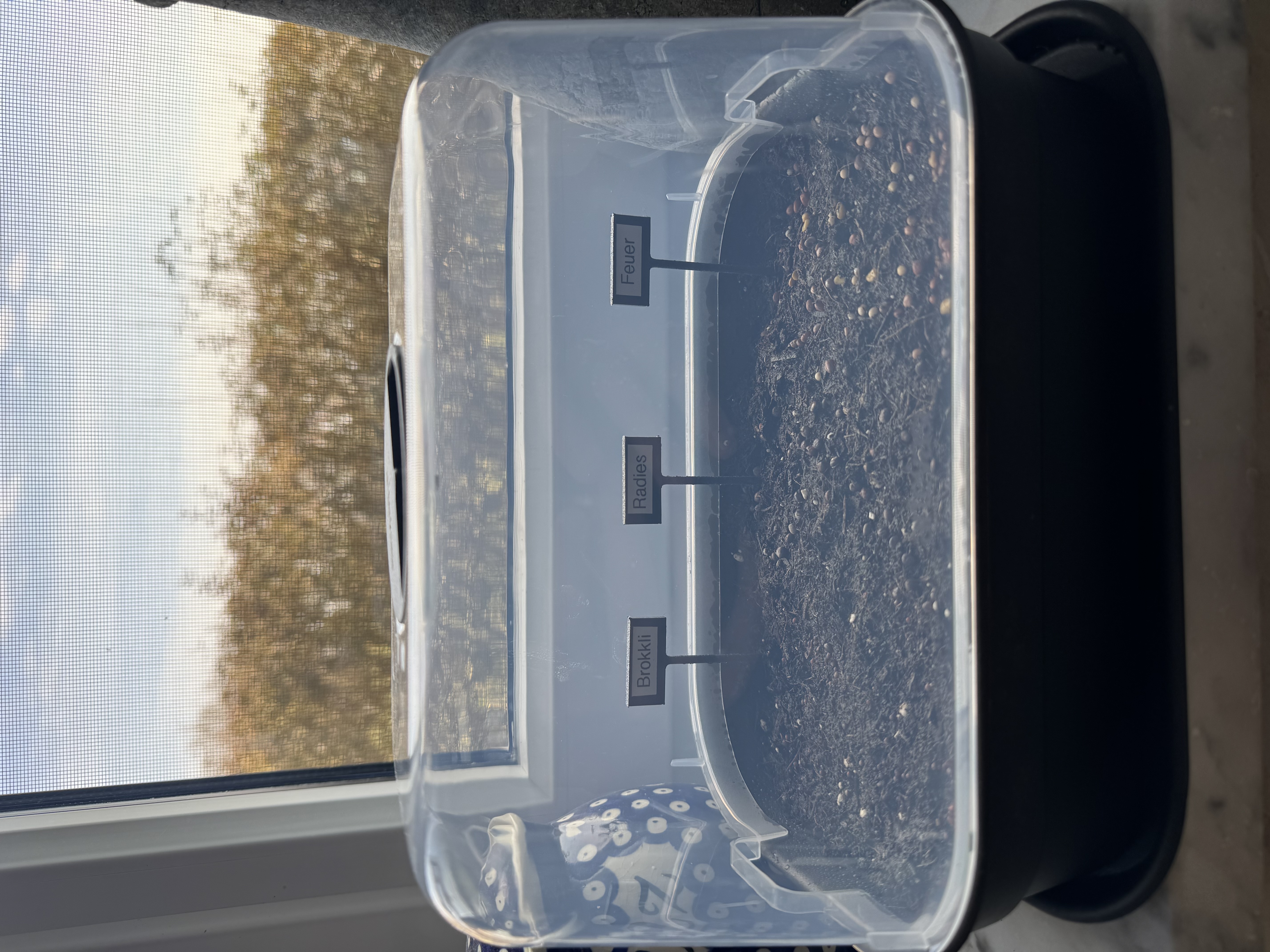 label holder für herb garden e.g. on windowsill