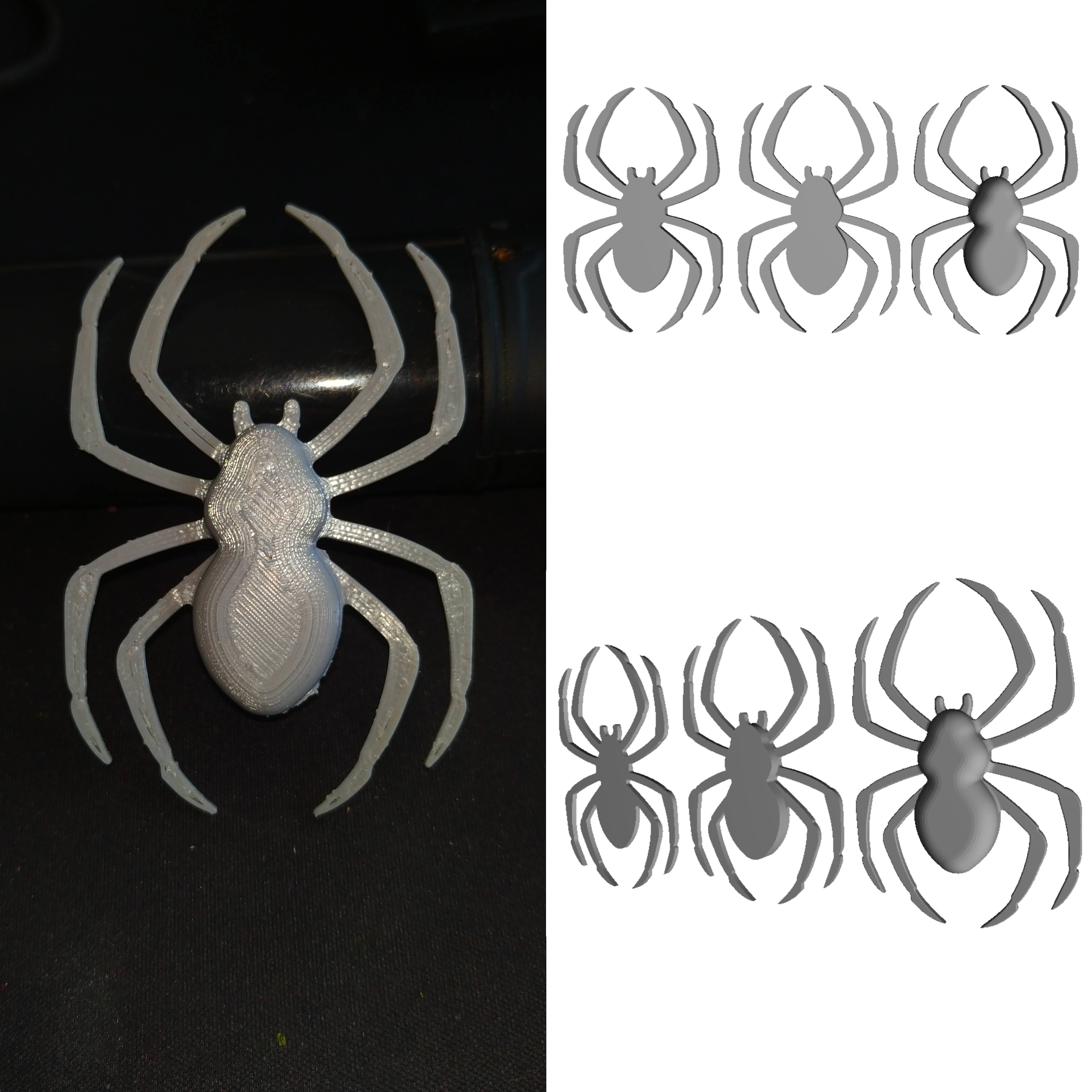 Halloween Spider By Ts3D | Download Free STL Model | Printables.com