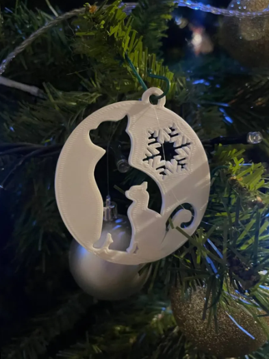 Chat de Noël