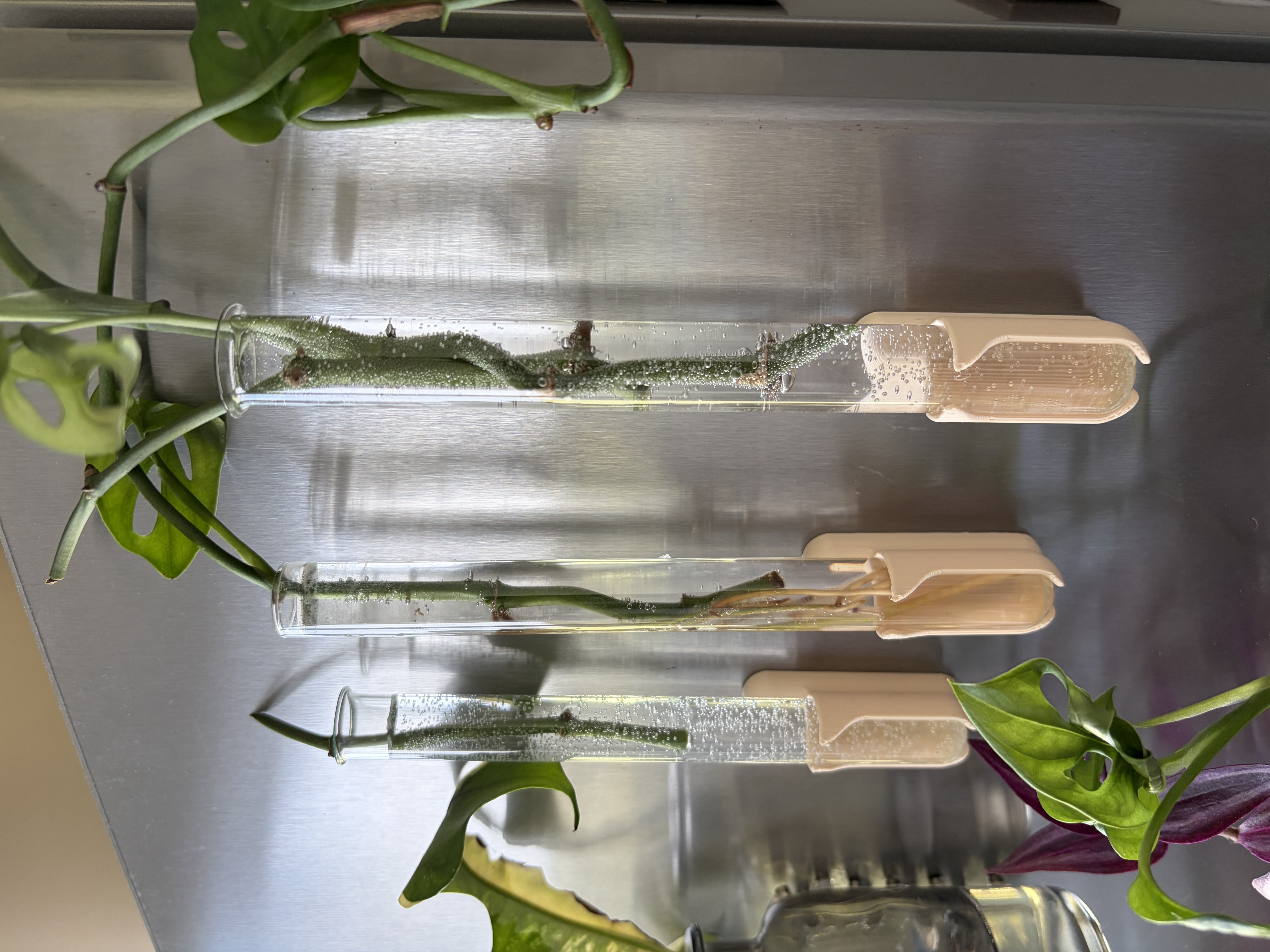 Magnetic planting holder - držák zkumavky