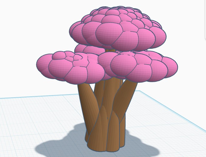 cherry blossom tree