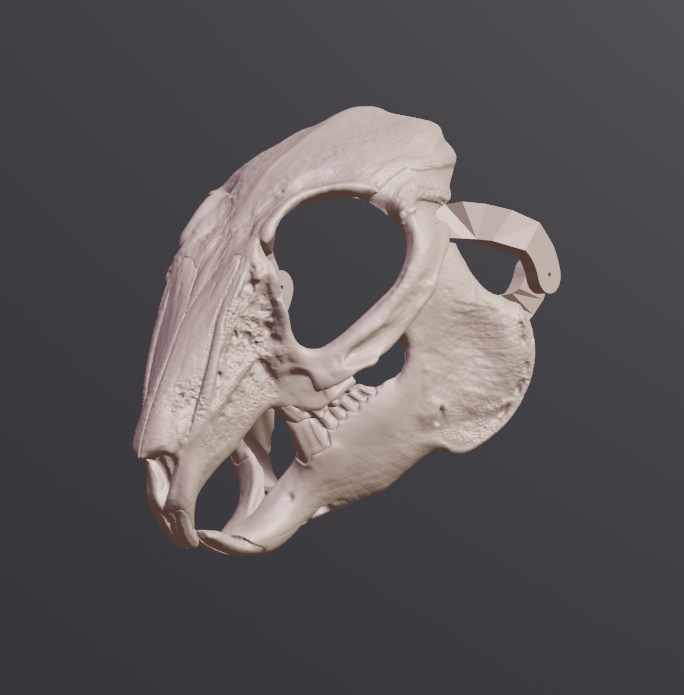 Rabbit Skull Mask