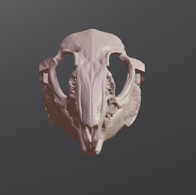 Miniatura 2 do modelo 3D Rabbit Skull Mask